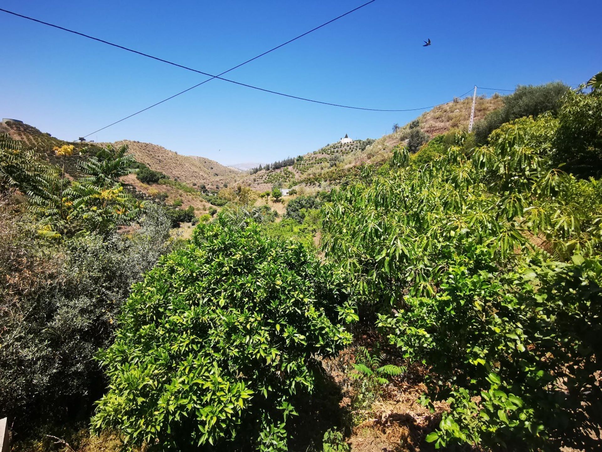 Casa nel Viñuela, Andalucía 11230706