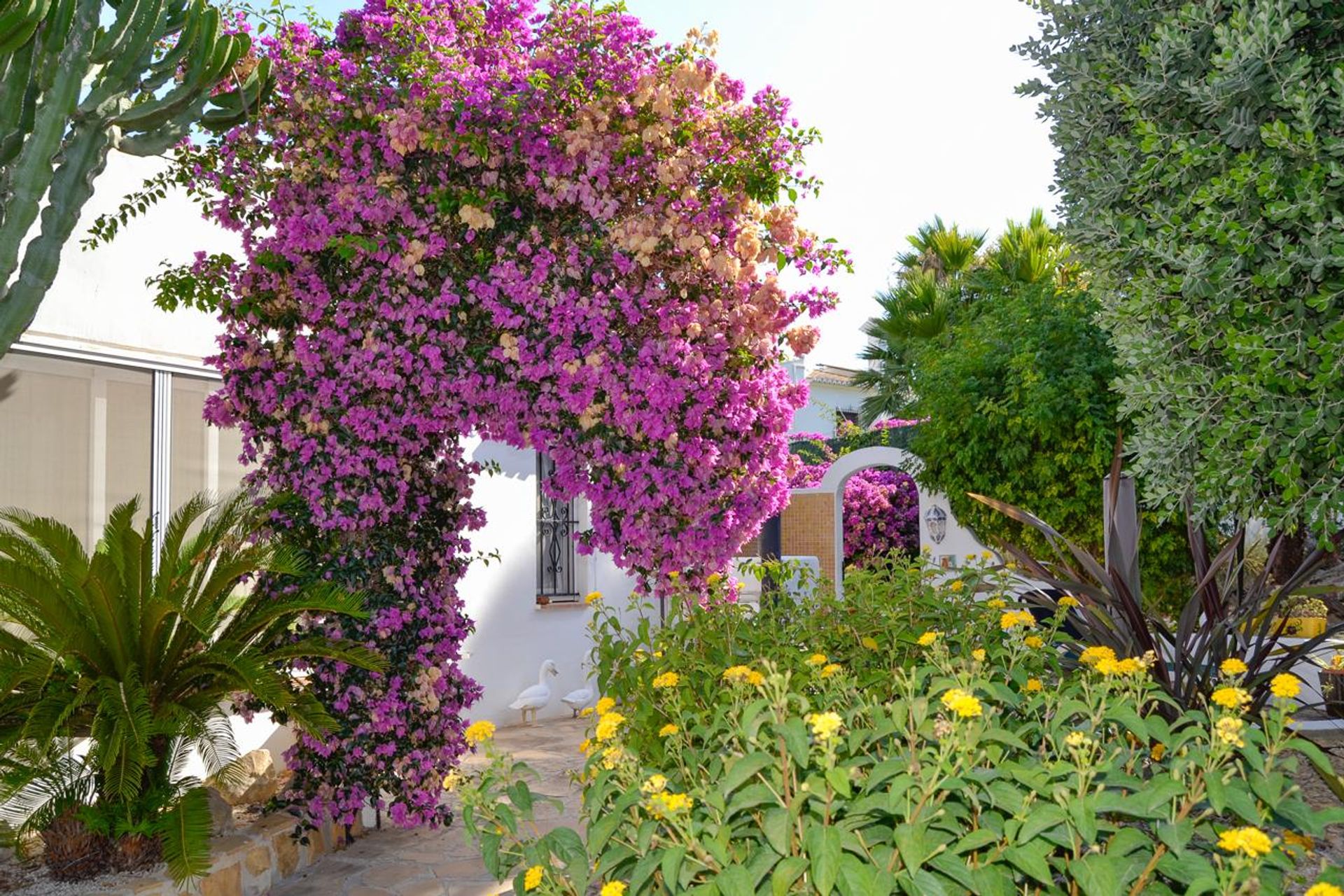 House in Jávea, Comunidad Valenciana 11231053