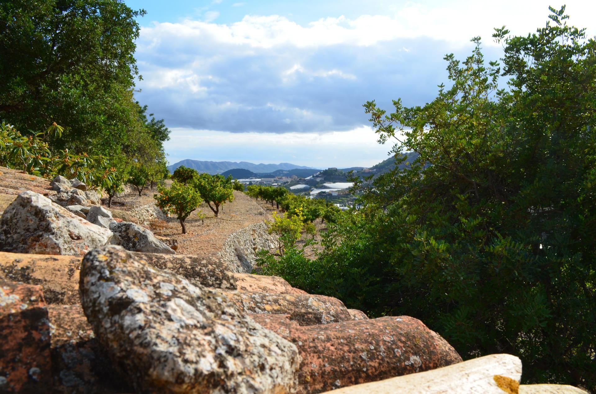 Terre dans Bolulla, Valence 11231217