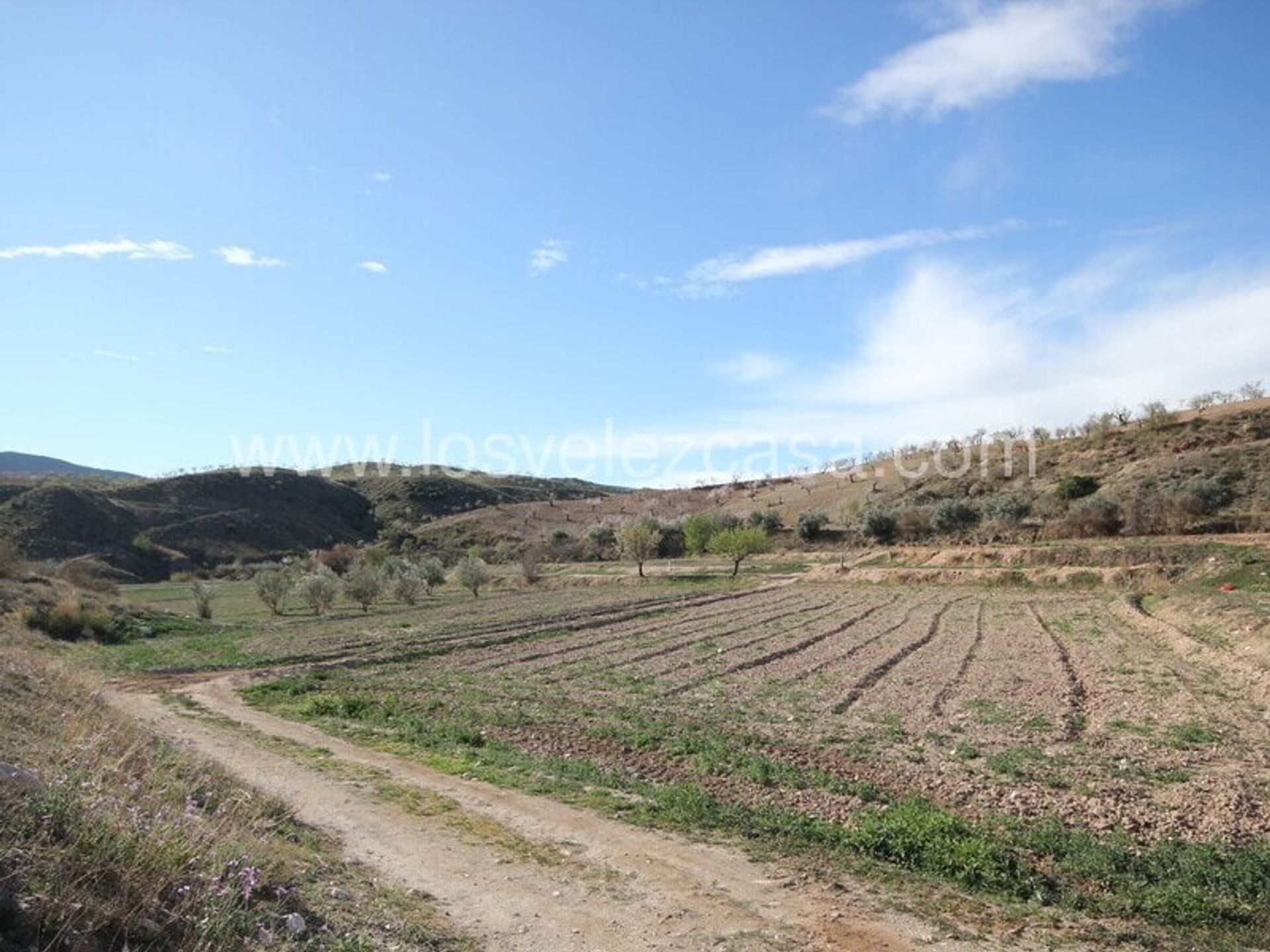 Γη σε , Región de Murcia 11231700