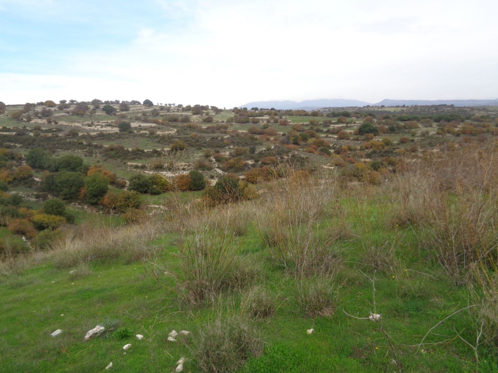 Land im Pampoula, Lemesos 11233414