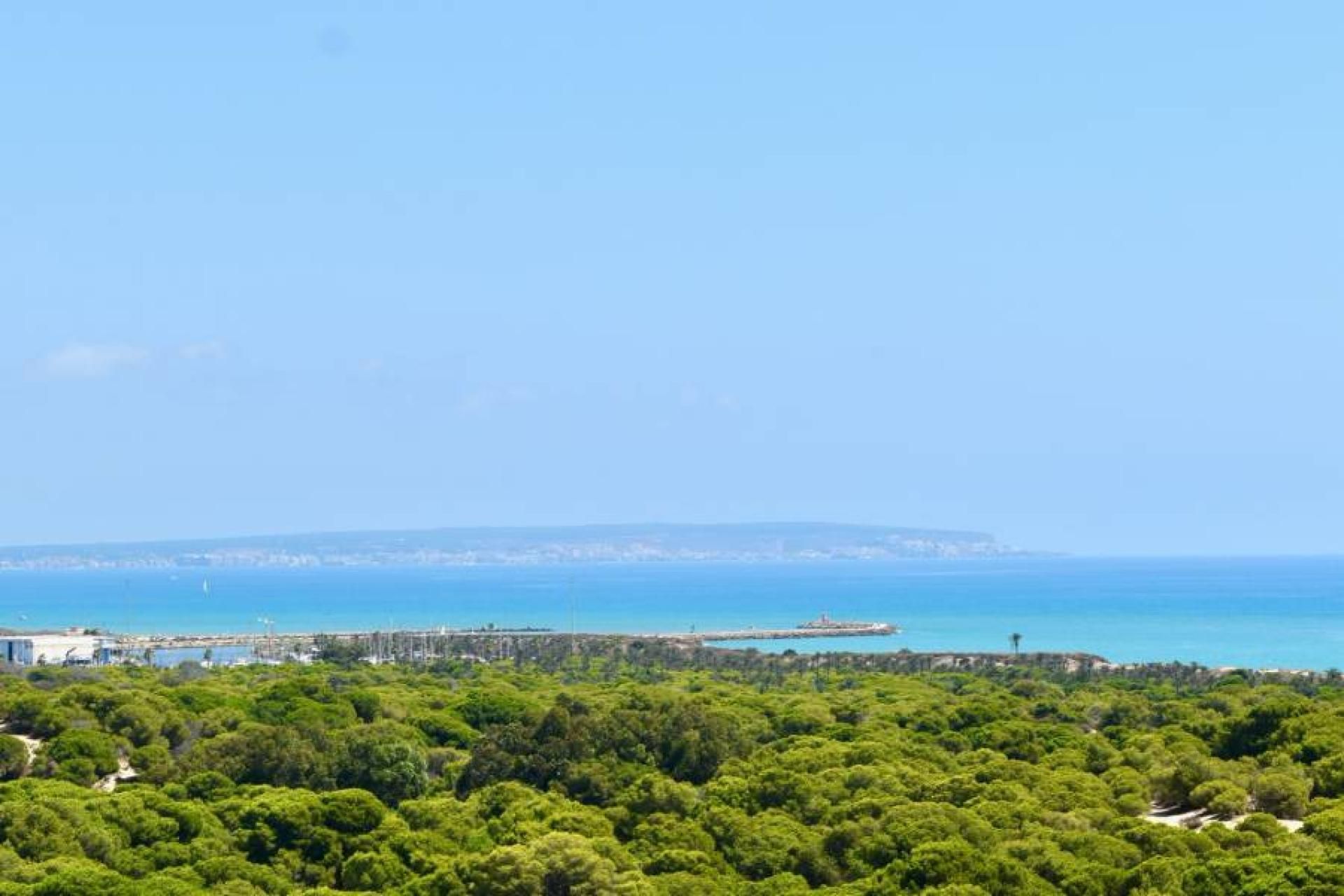 بيت في Guardamar del Segura, Comunidad Valenciana 11233433