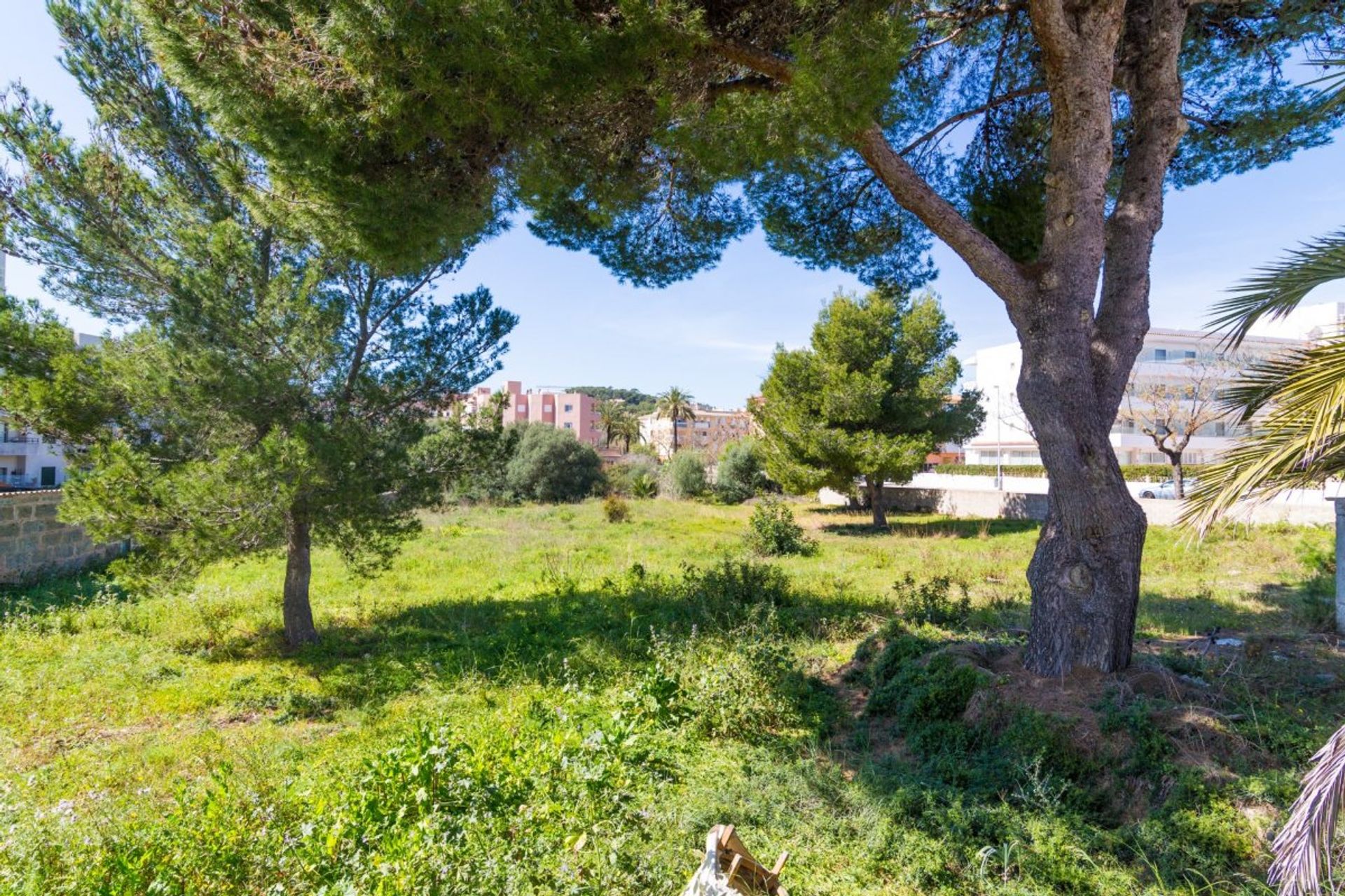 Land in Capdepera, Illes Balears 11234011