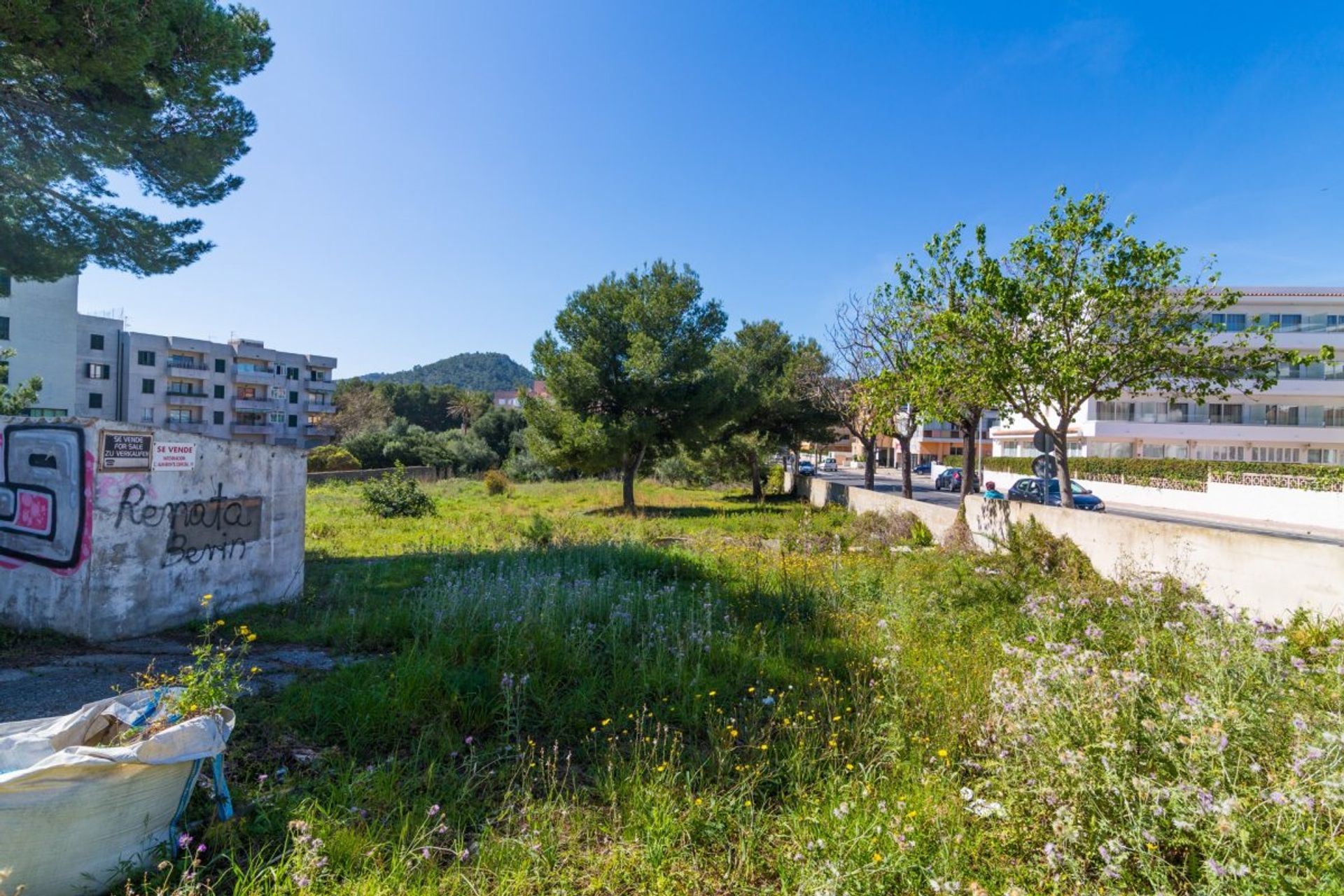 Land in Capdepera, Illes Balears 11234011