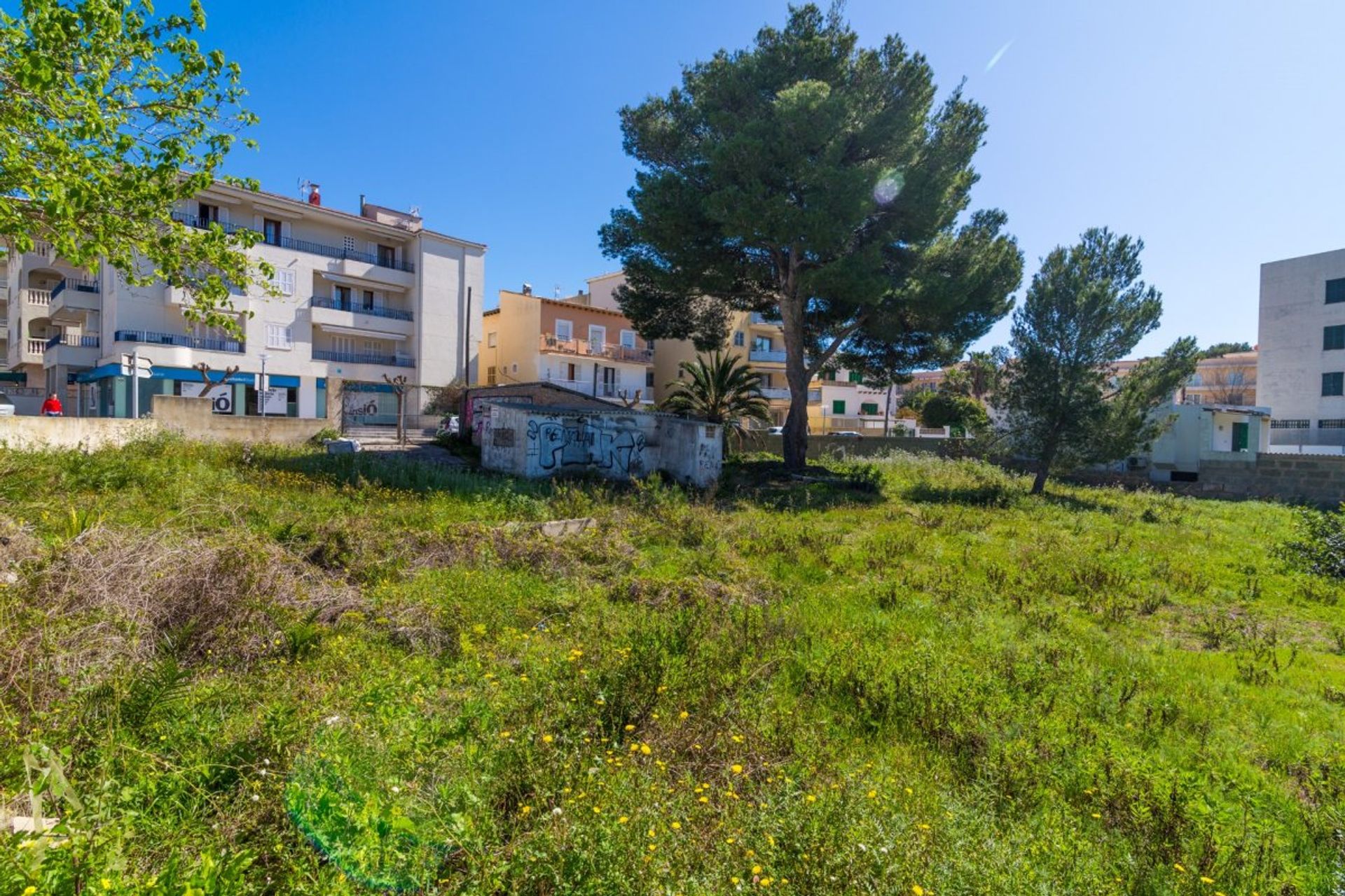 Land in Capdepera, Illes Balears 11234011