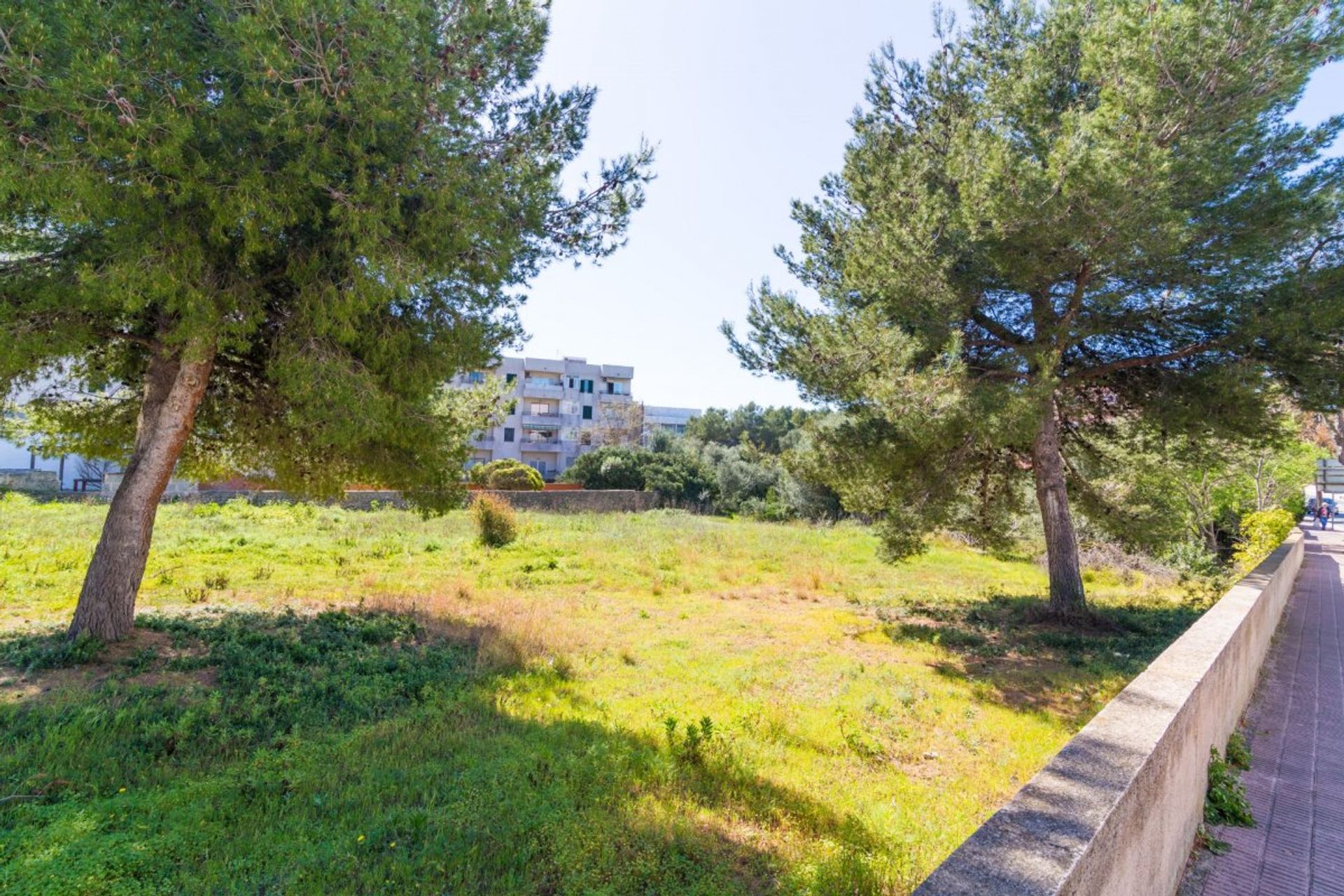 Land in Capdepera, Illes Balears 11234011