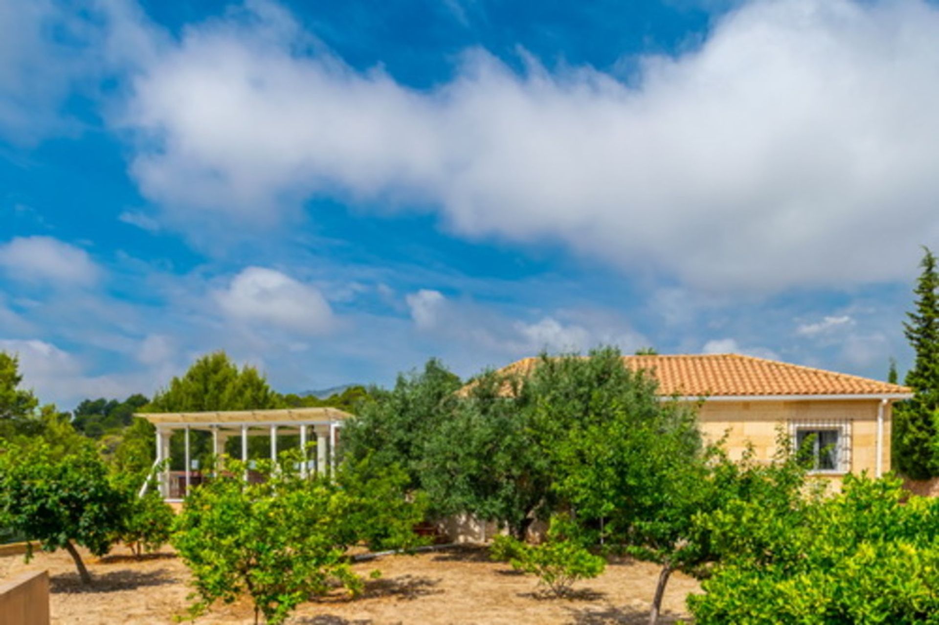 Casa nel La Vila Joiosa, Comunidad Valenciana 11234262