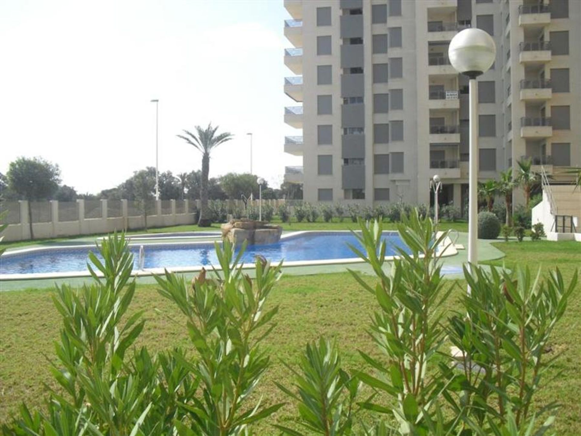 Condominio nel Guardamar del Segura, Comunidad Valenciana 11234371