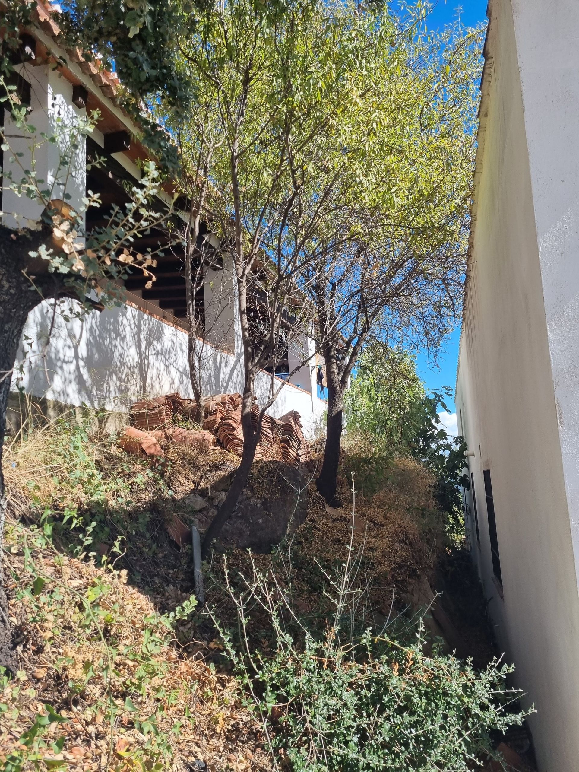 House in Ronda, Andalucía 11234726