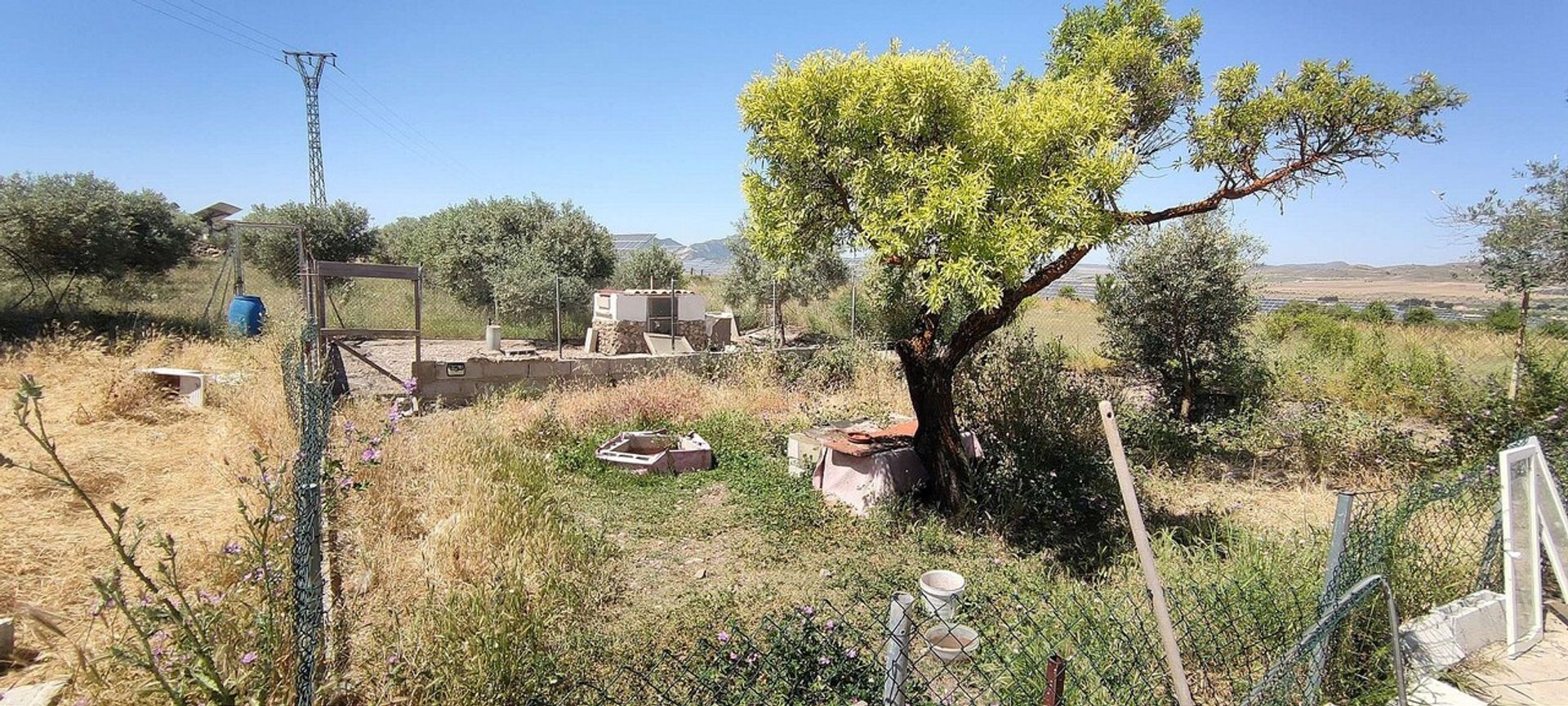 Hus i Yecla, Región de Murcia 11234831