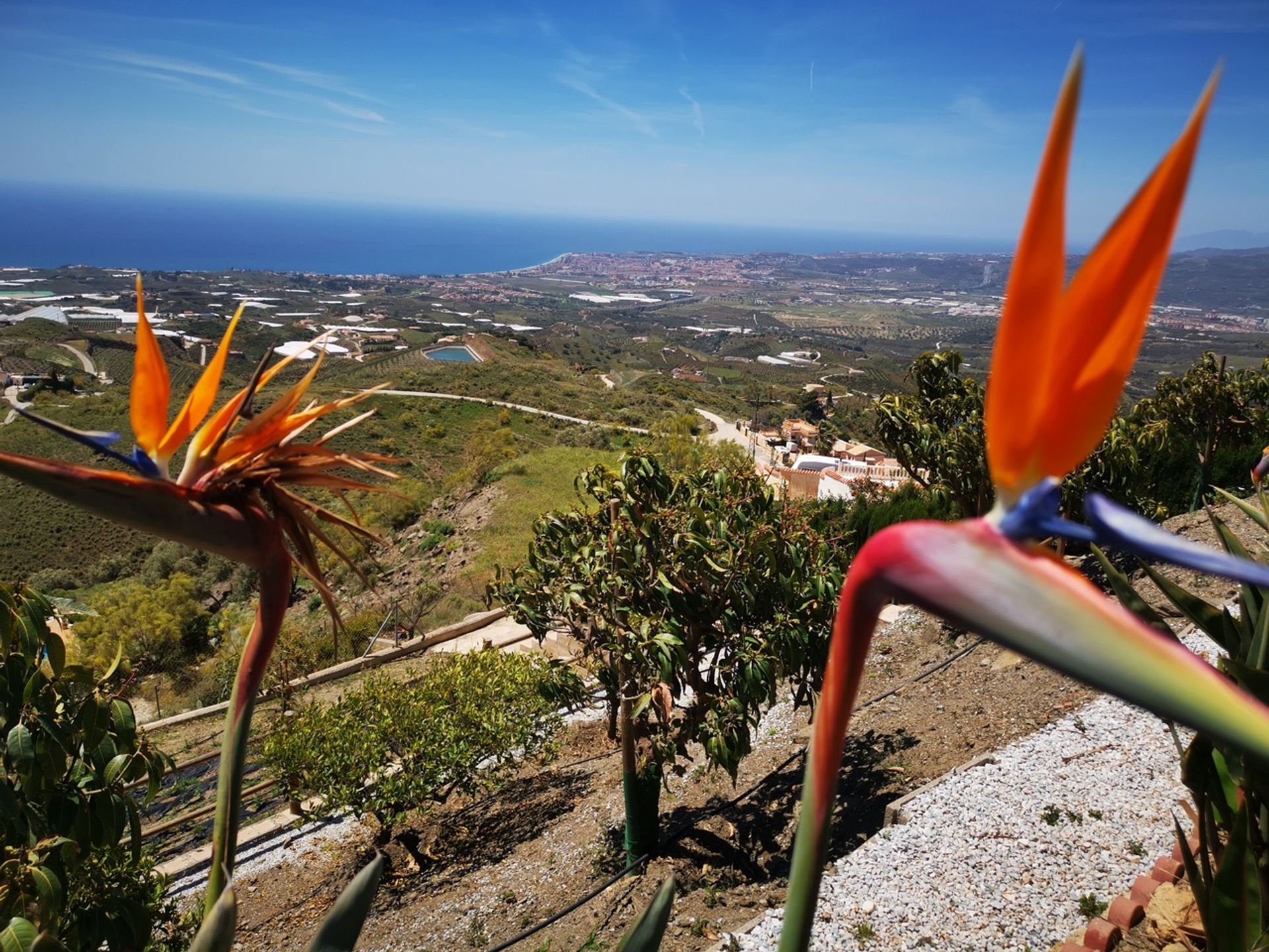 loger dans , Andalucía 11234945