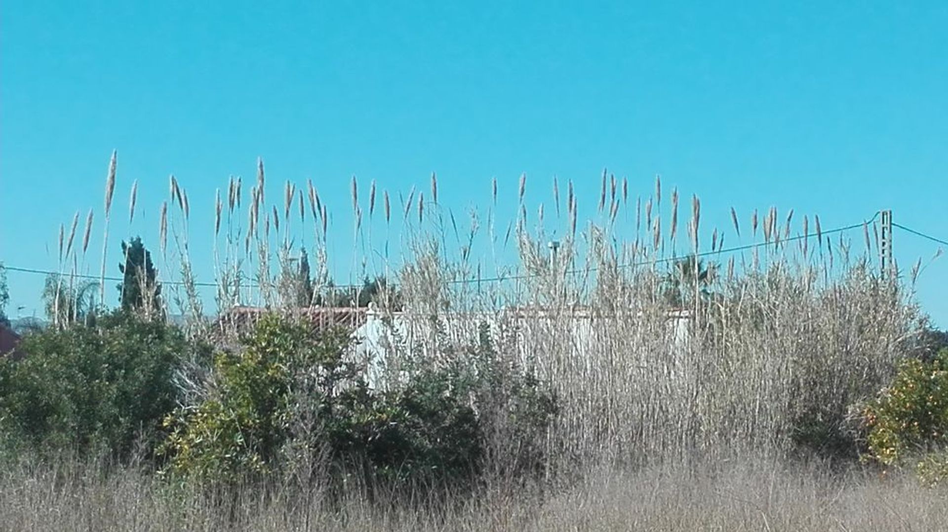 Tanah di Castillo del Reboller, Valencia 11235138