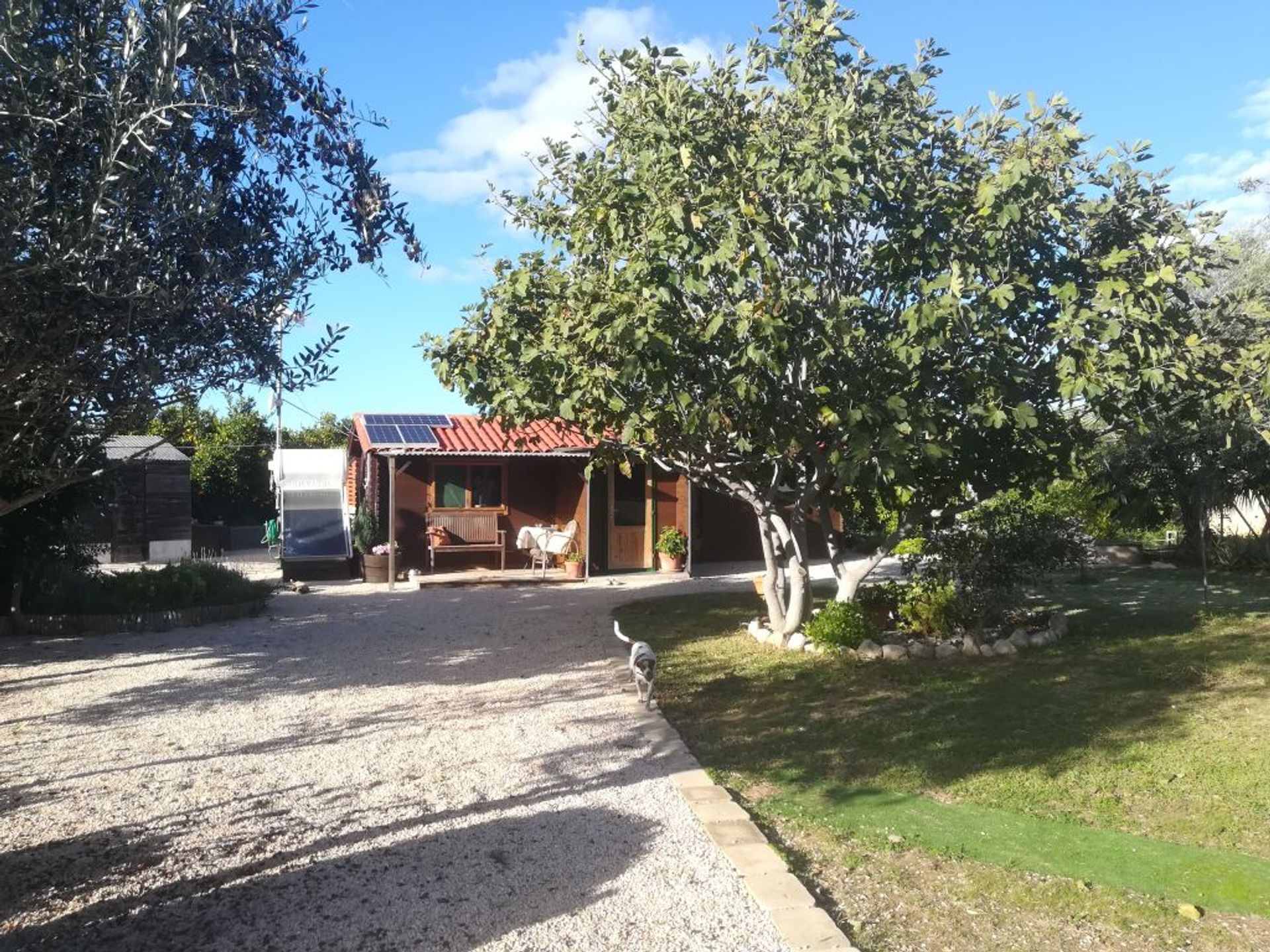 House in Pego, Alicante, Valencian Community 11235519