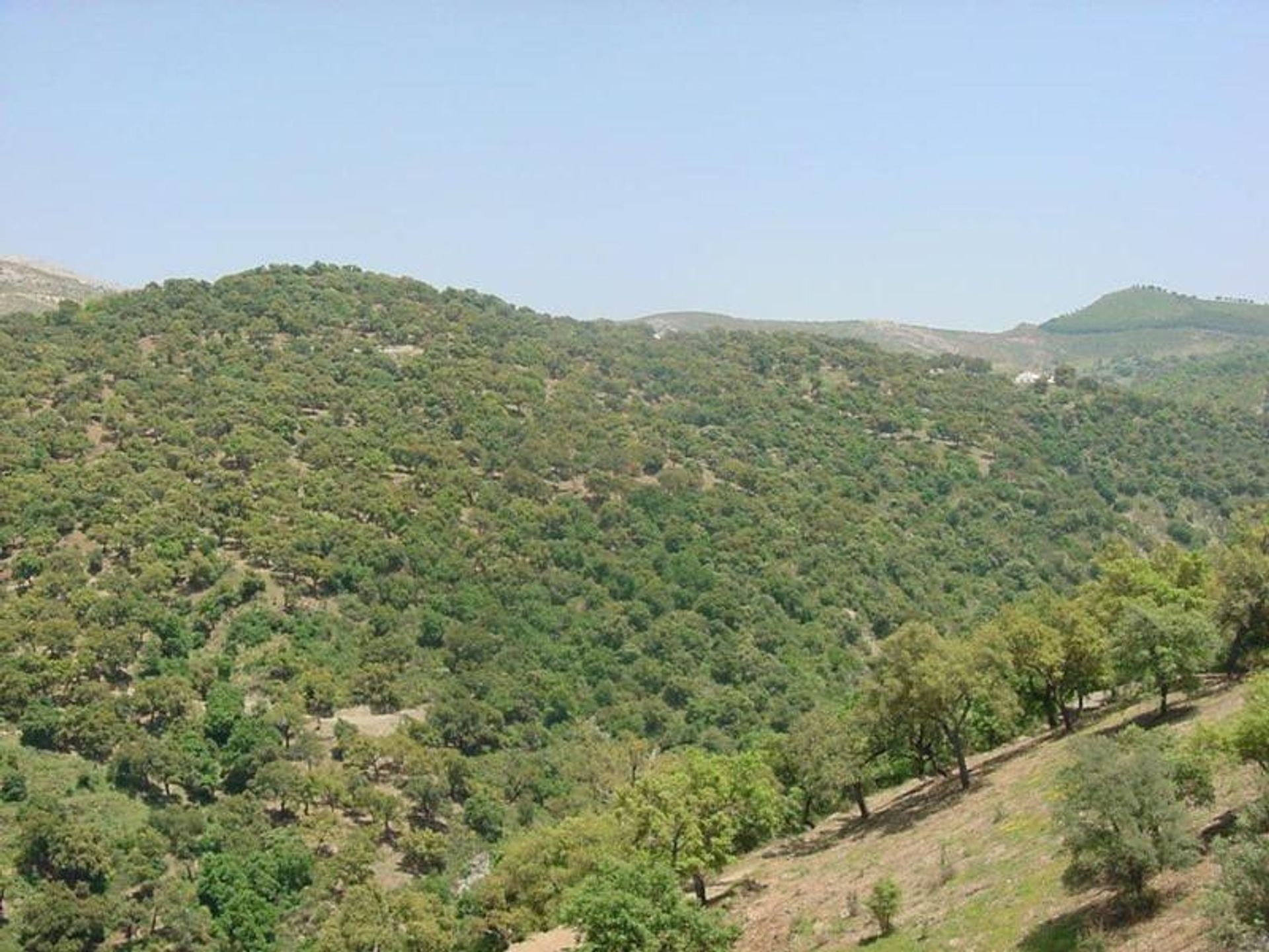 Terra no Ronda, Andalucía 11235588