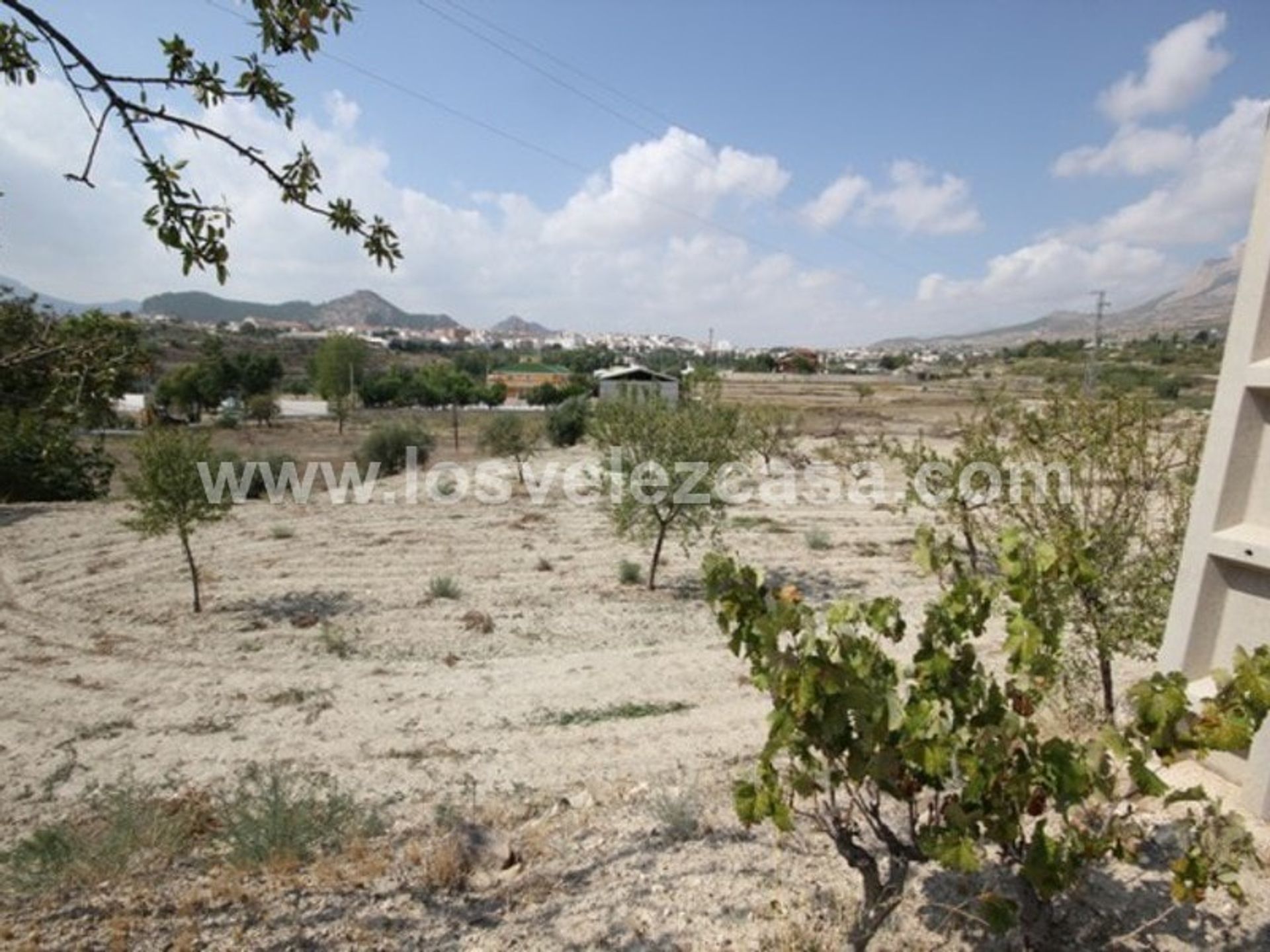 Γη σε Vélez-Rubio, Andalucía 11235604