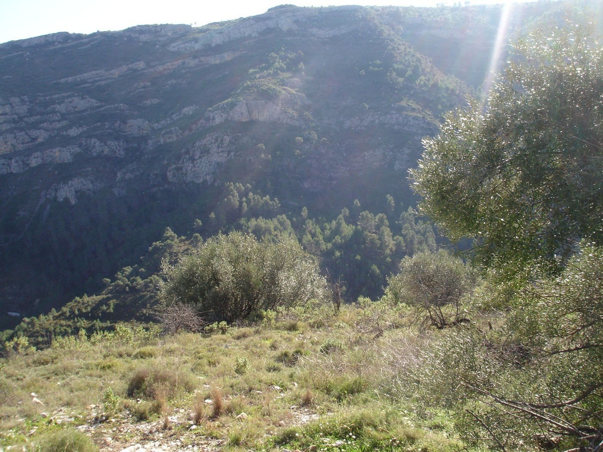 Talo sisään Castell de Castells, Comunidad Valenciana 11236322