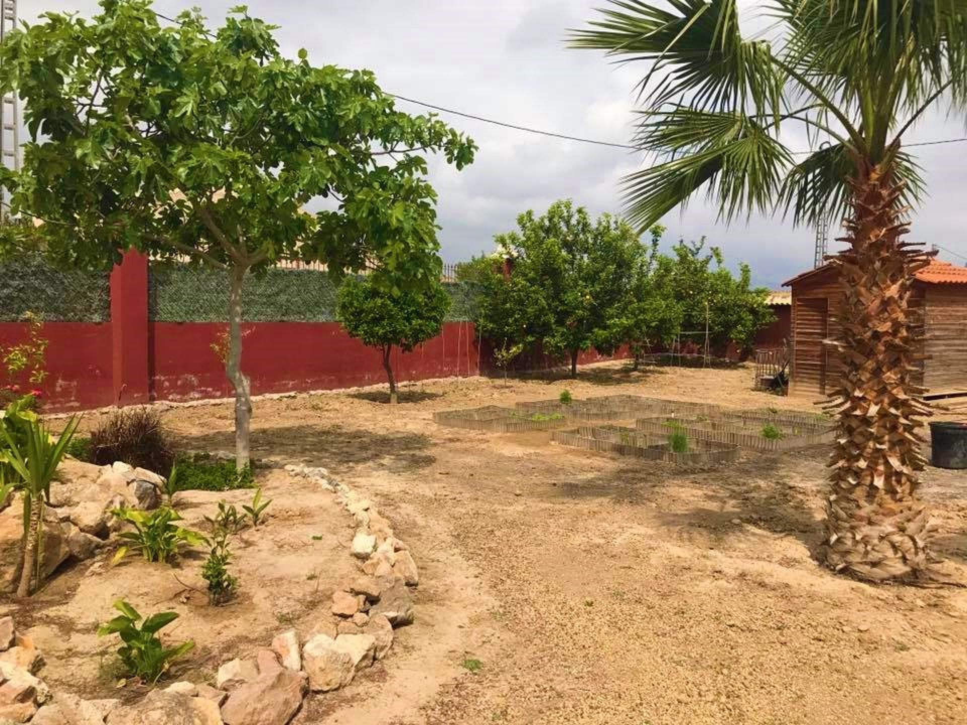 rumah dalam Crevillente, Comunidad Valenciana 11236428