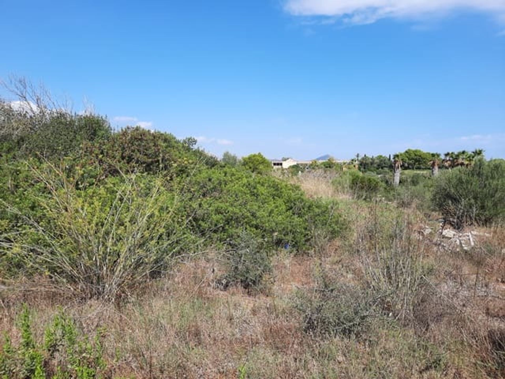 土地 在 拉普埃布拉, 巴利阿里群島 11236477