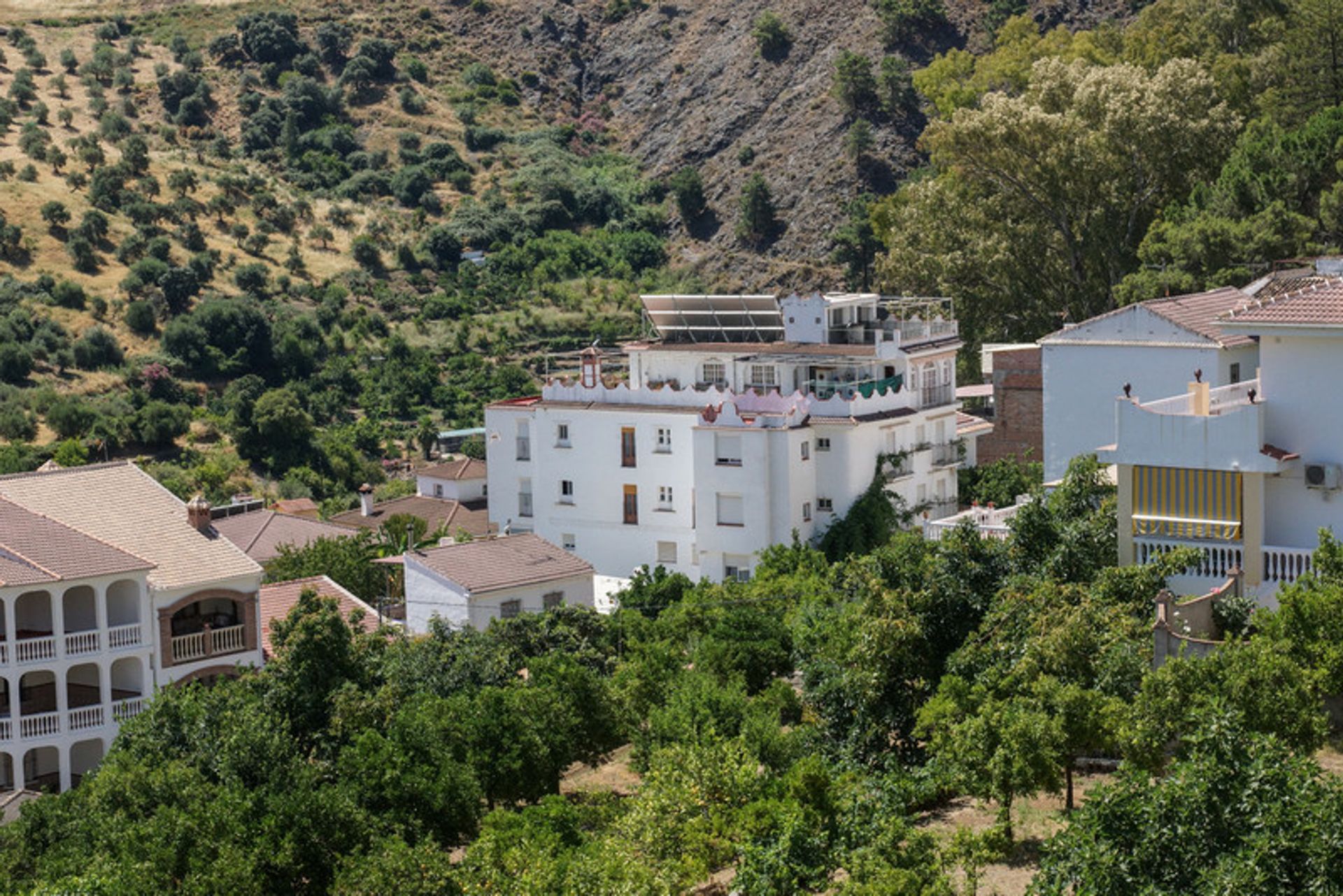 صناعي في Tolox, Andalucía 11237516