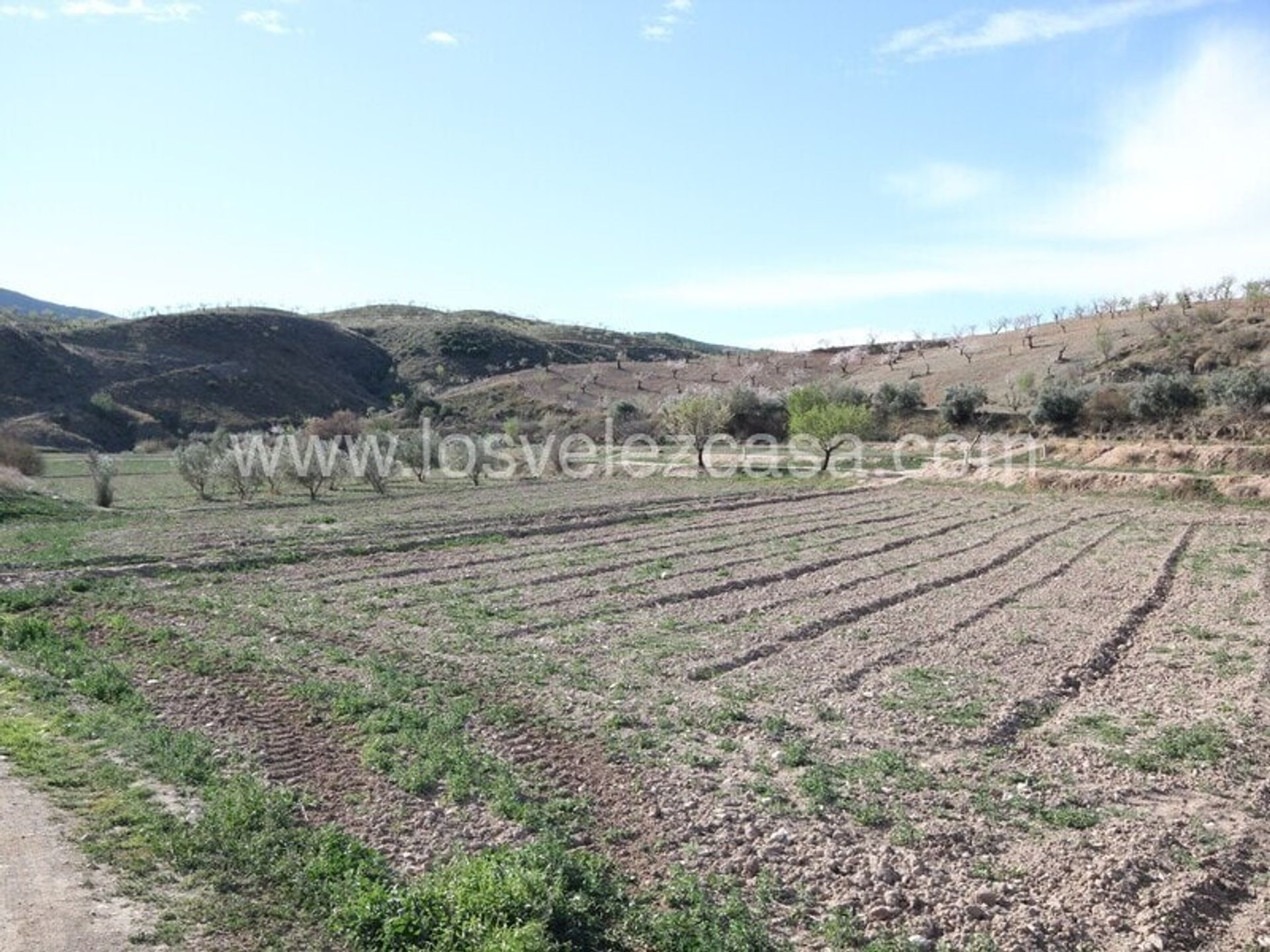 土地 在 , Región de Murcia 11237667