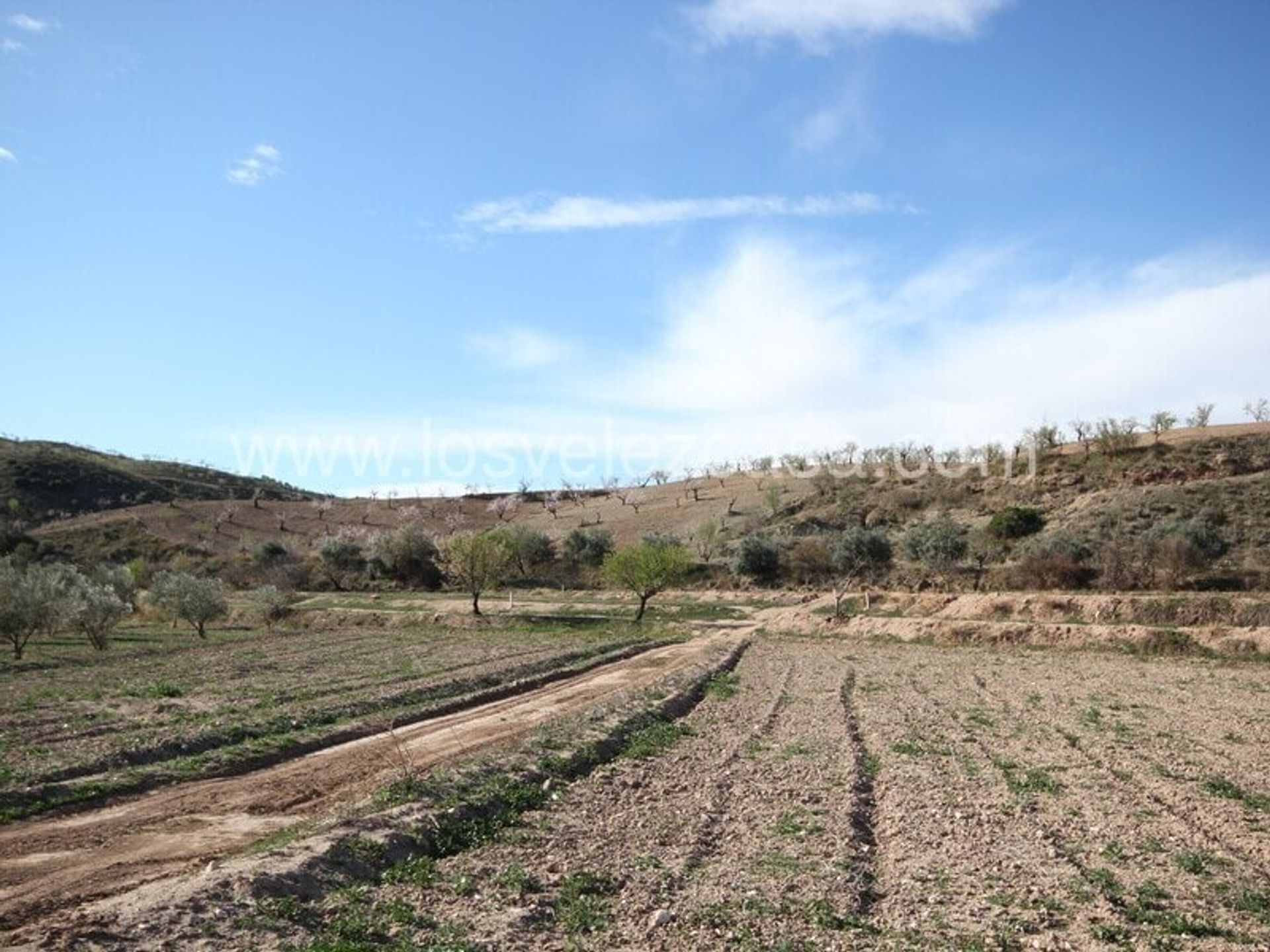 土地 在 , Región de Murcia 11237667