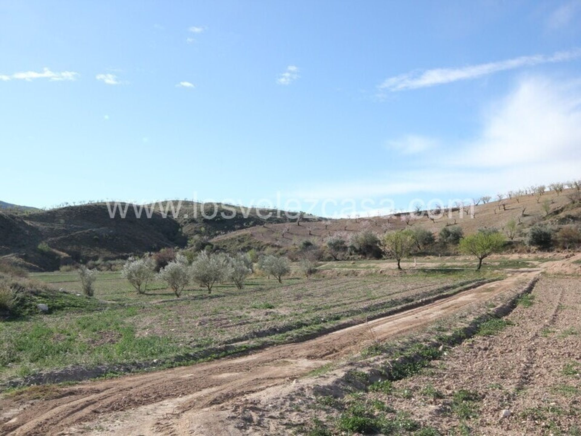 土地 在 , Región de Murcia 11237667