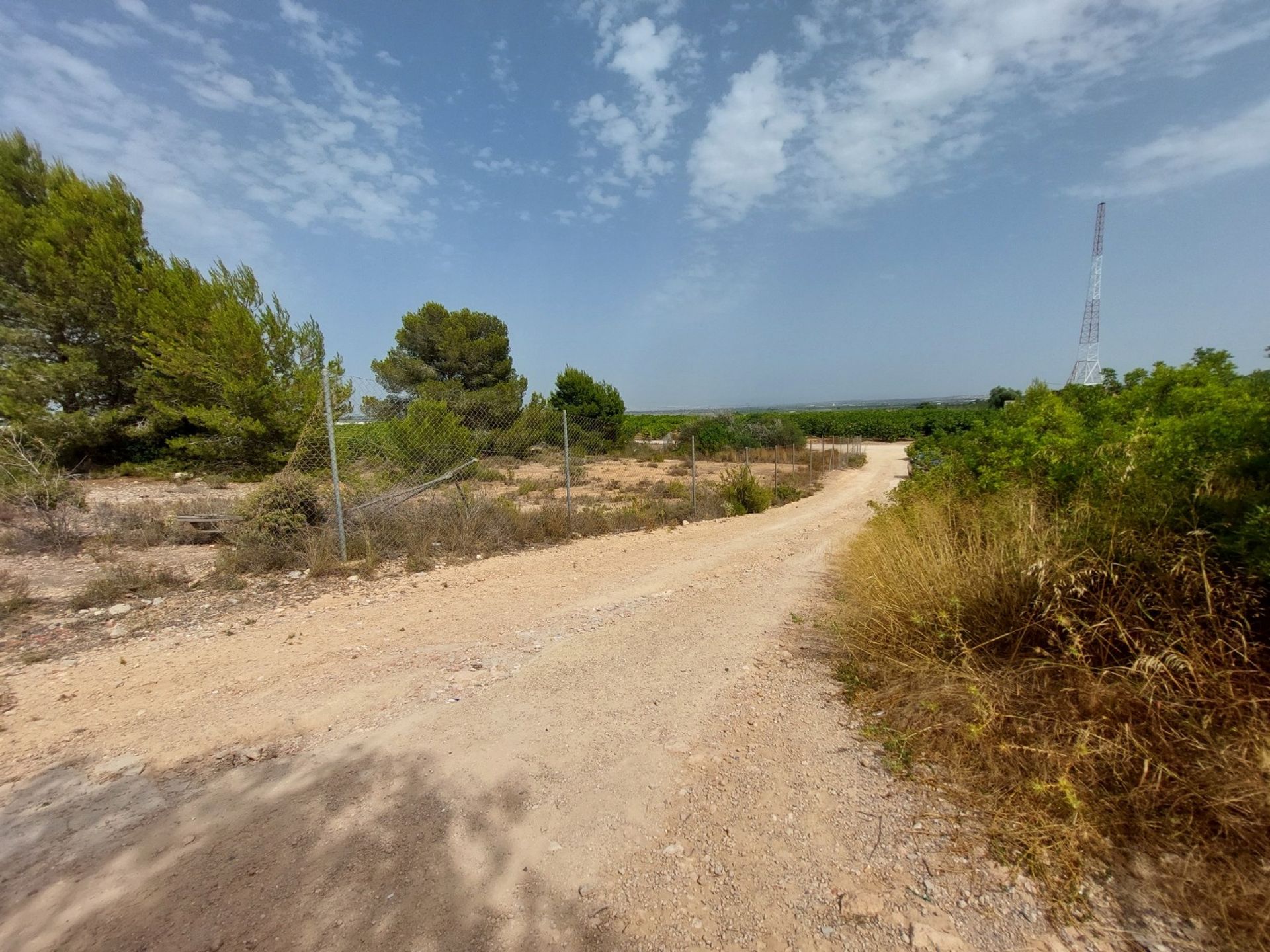 Talo sisään Jacarilla, Comunidad Valenciana 11237926