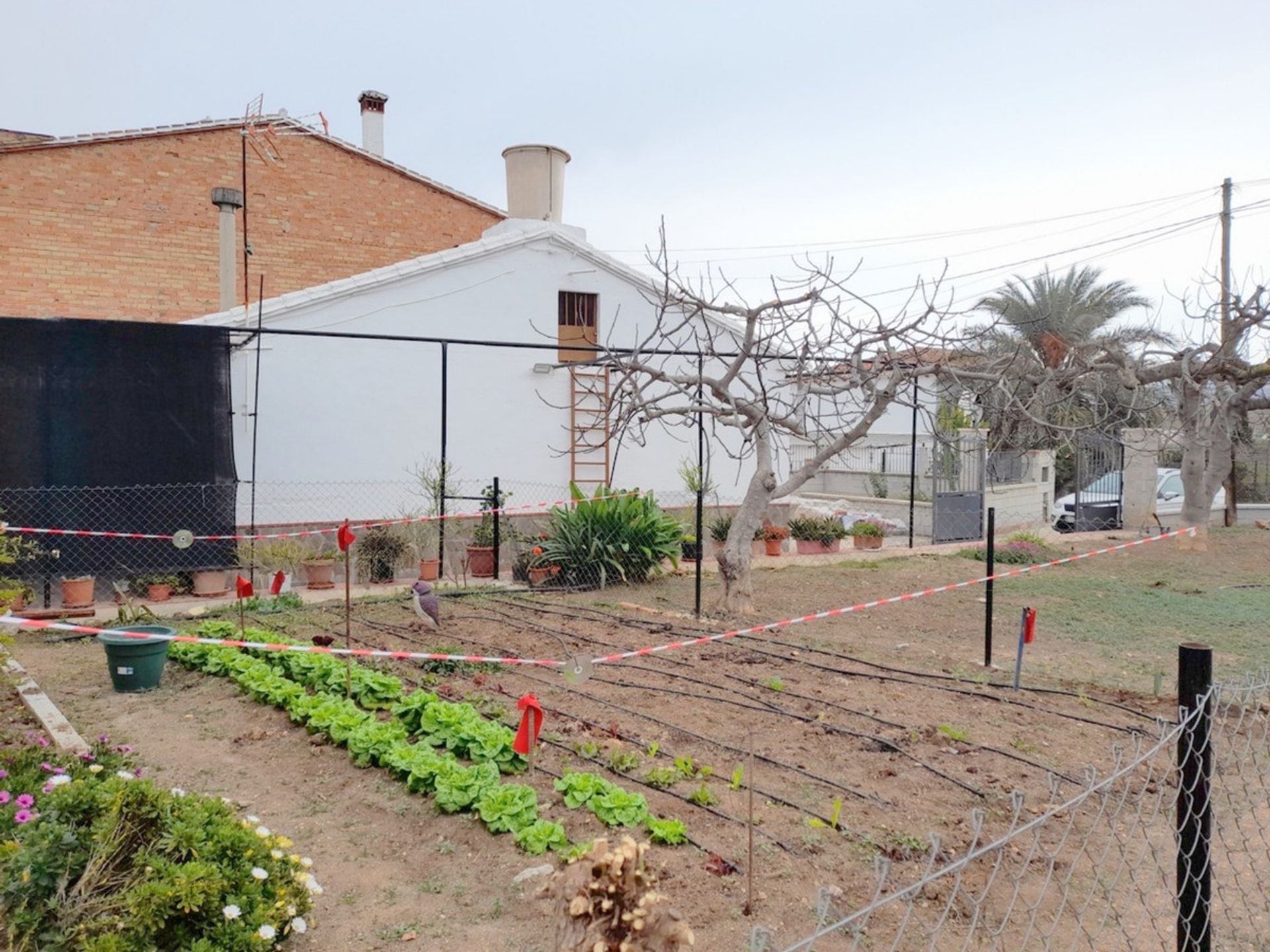 House in Álora, Andalucía 11241161