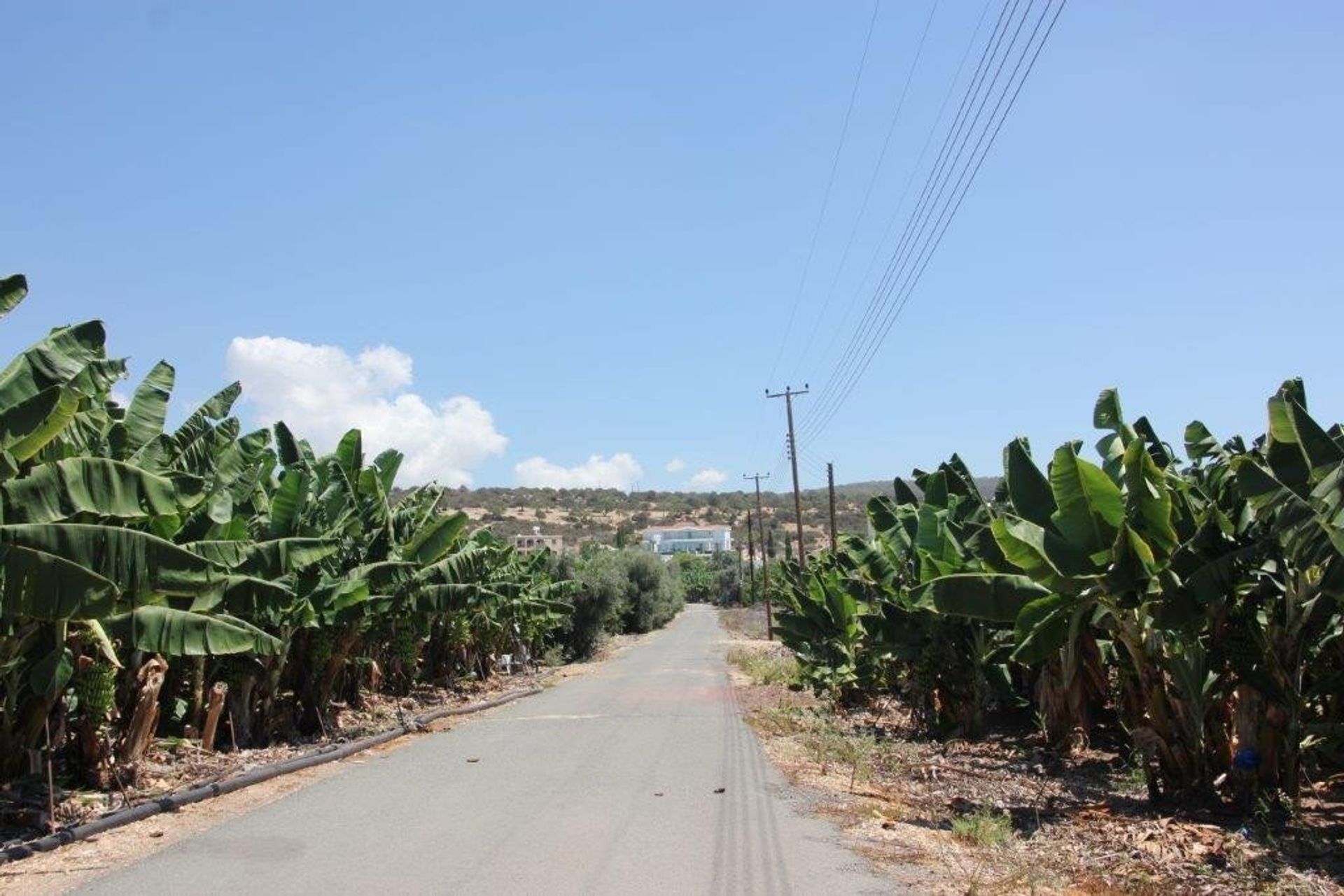 Rumah di Peyia, Paphos 11241241