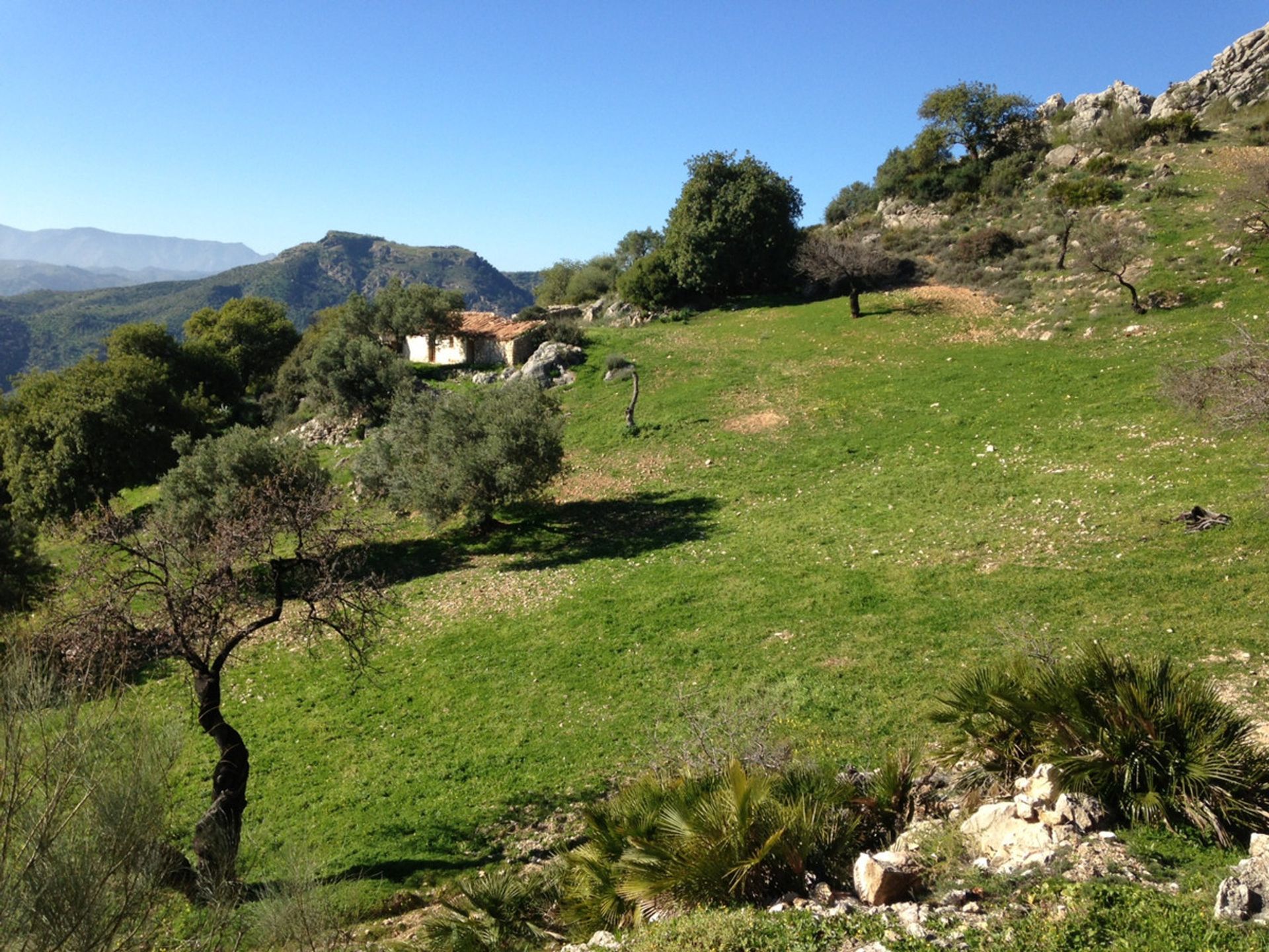 Terre dans El Chorro, Andalusia 11241888