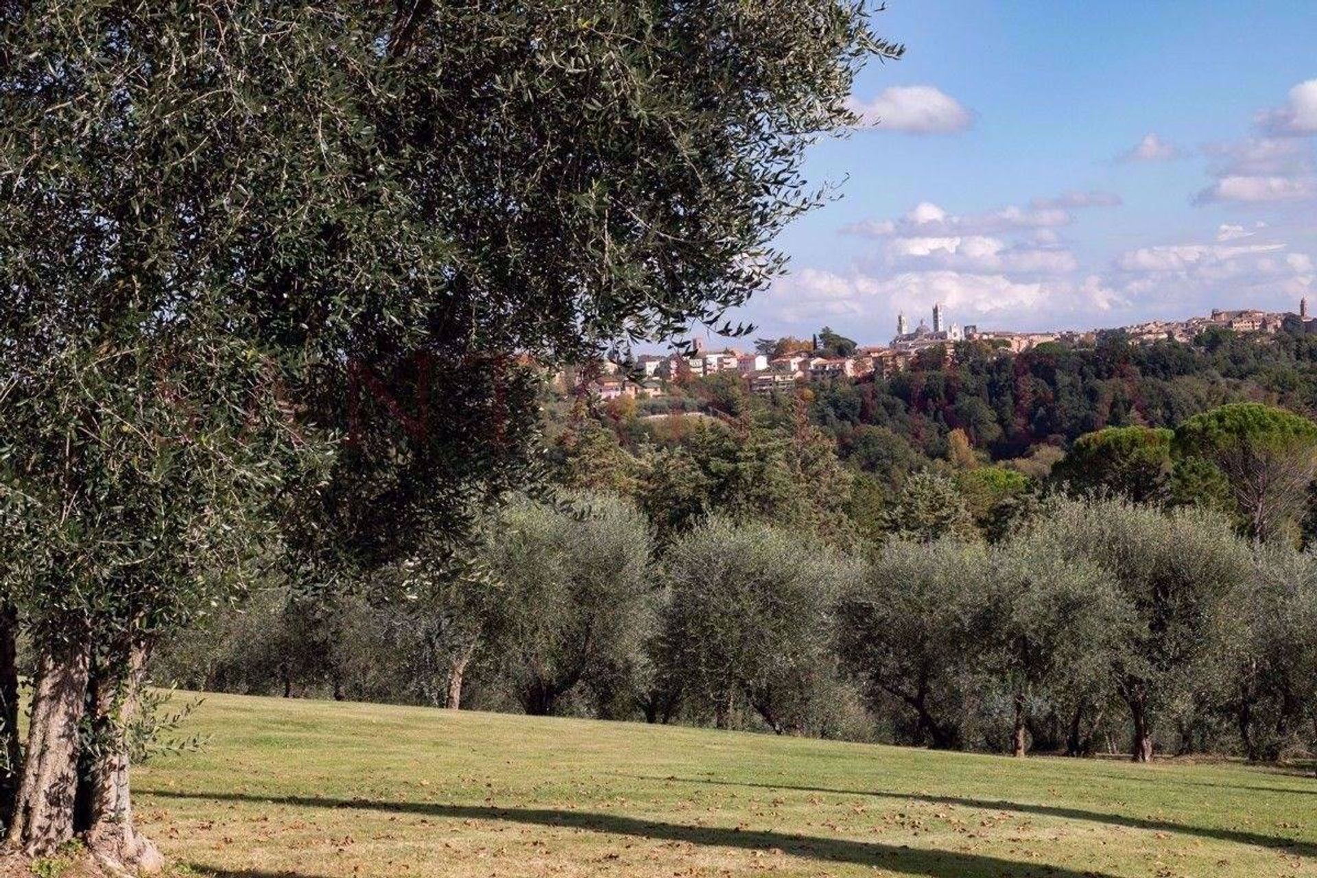 Hus i Siena, Tuscany 11242019