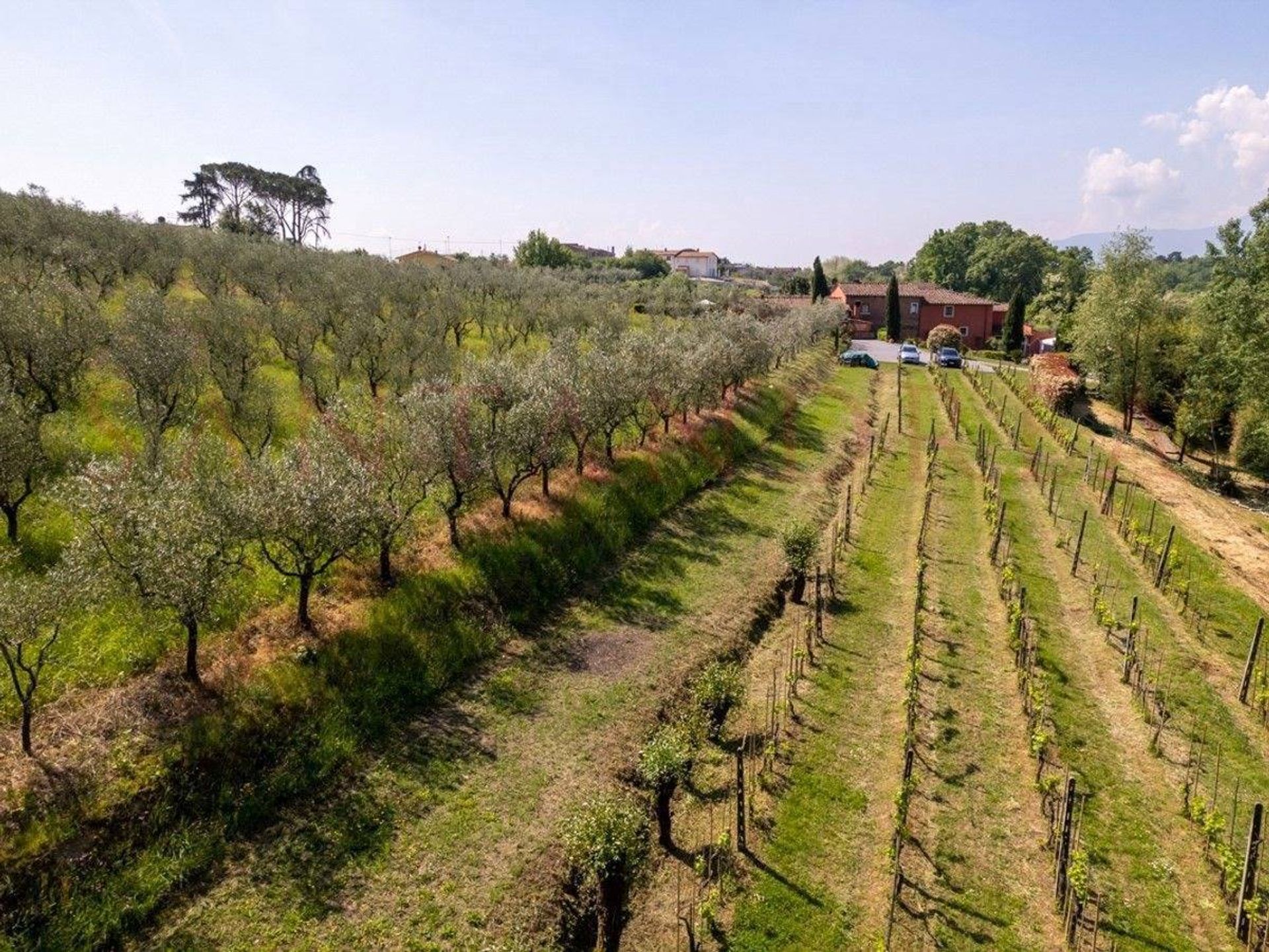 House in Lucca, Tuscany 11242051