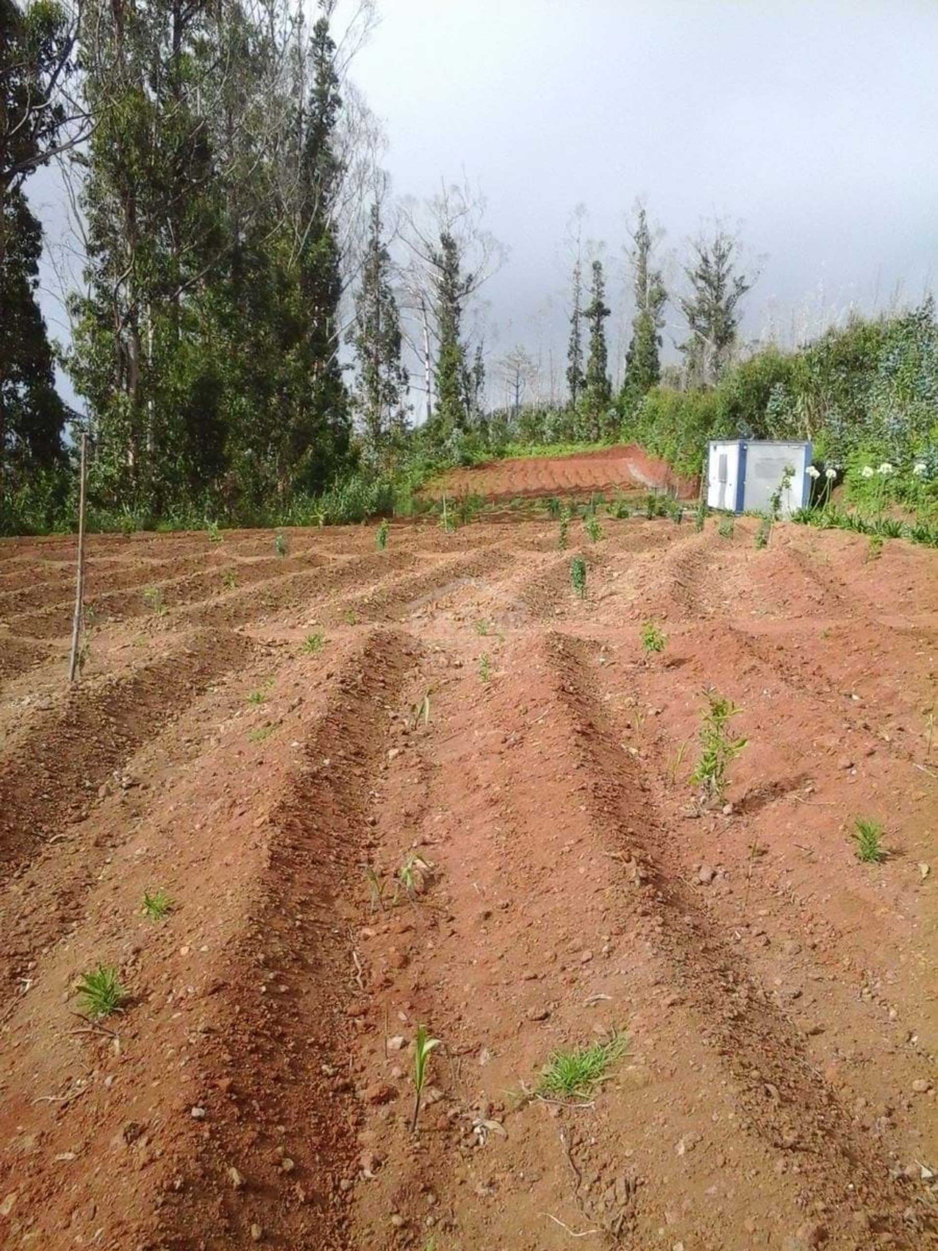 Tierra en Pablo do Mar, Madeira 11242136