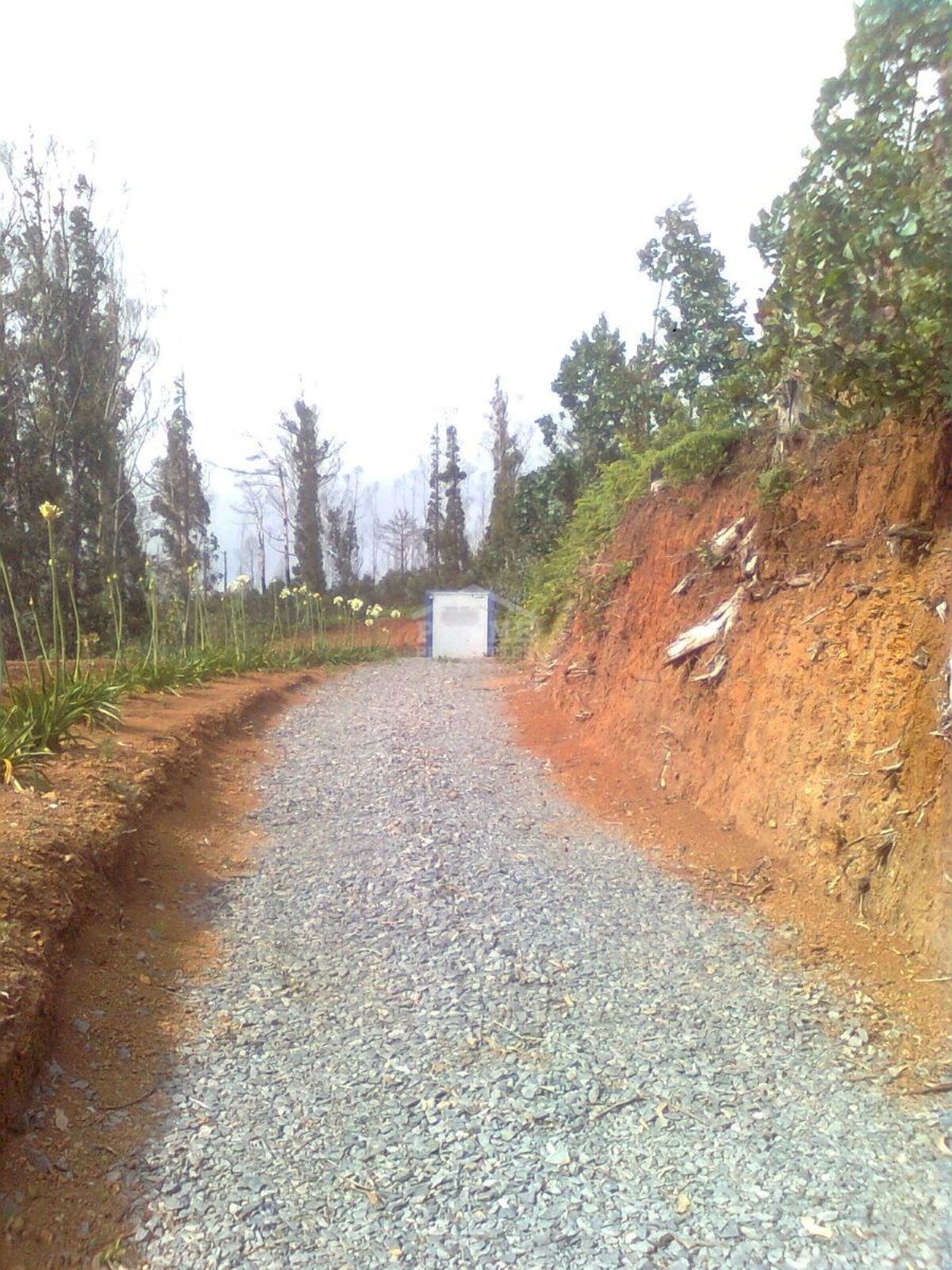 Tierra en Pablo do Mar, Madeira 11242136