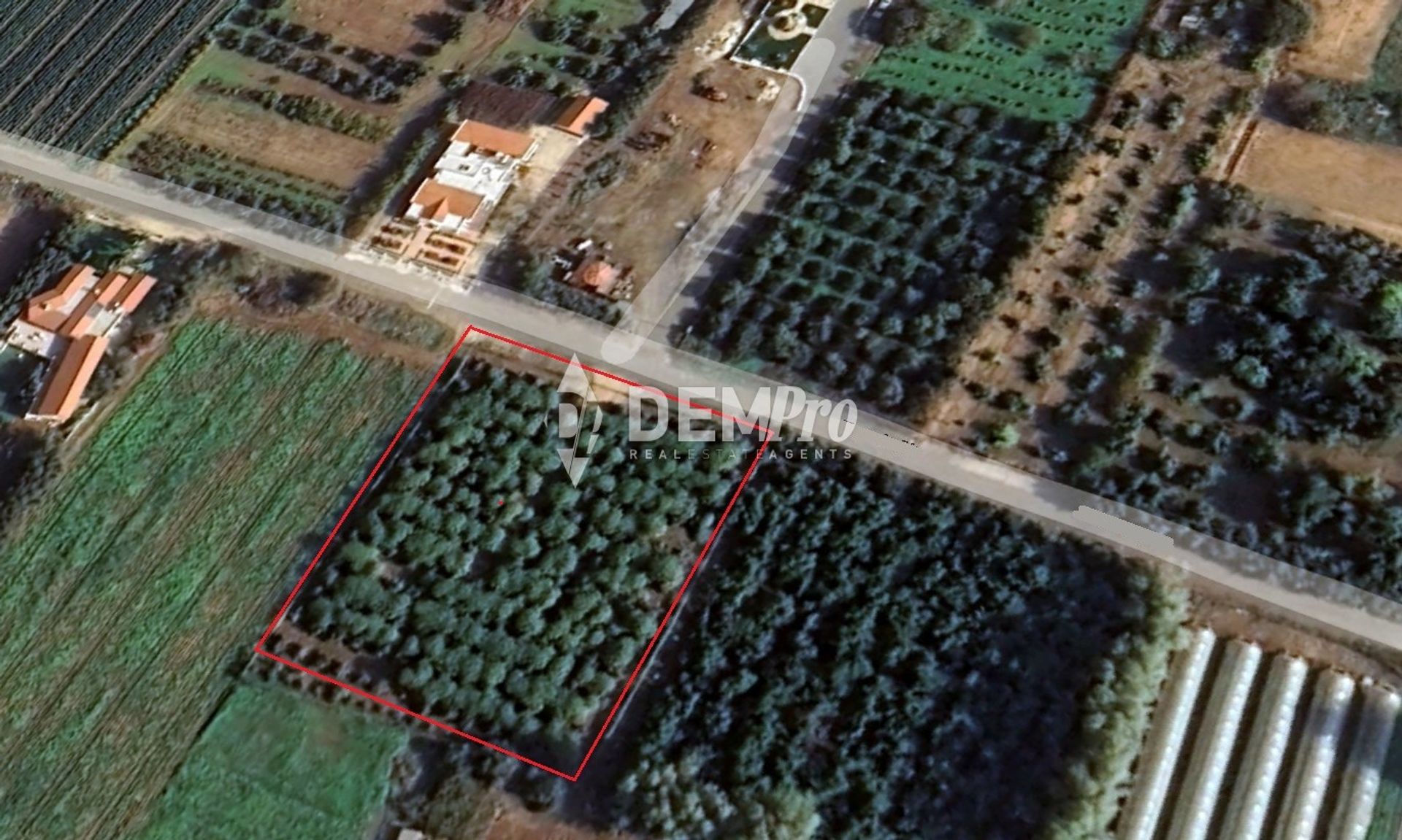 Land i Emba, Paphos 11243181