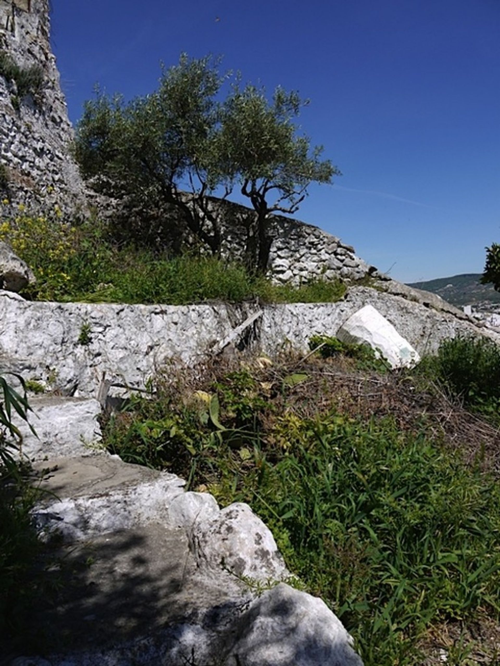 Rumah di Olvera, Andalucía 11243399