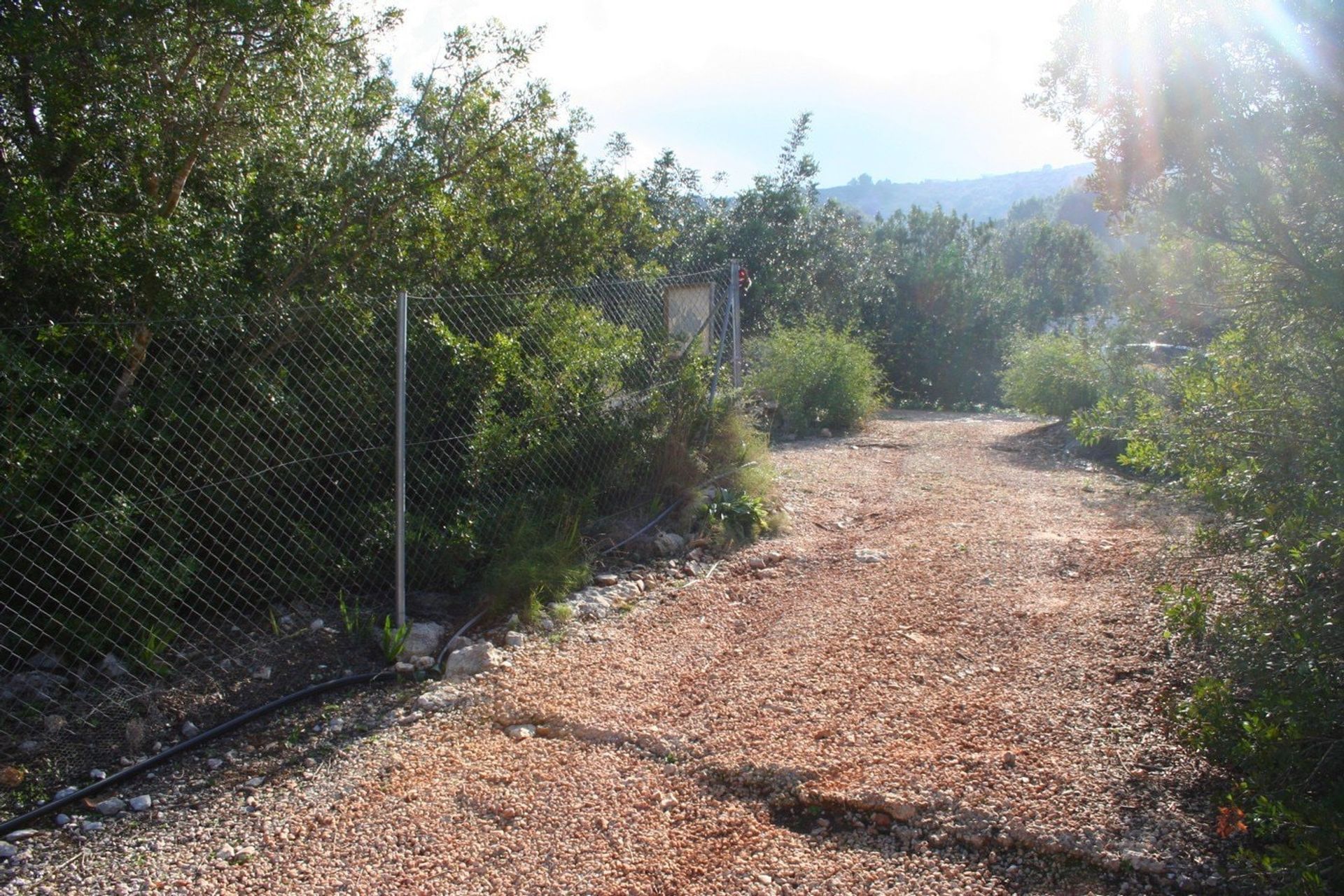 Land in Pedreguer, Comunidad Valenciana 11246548