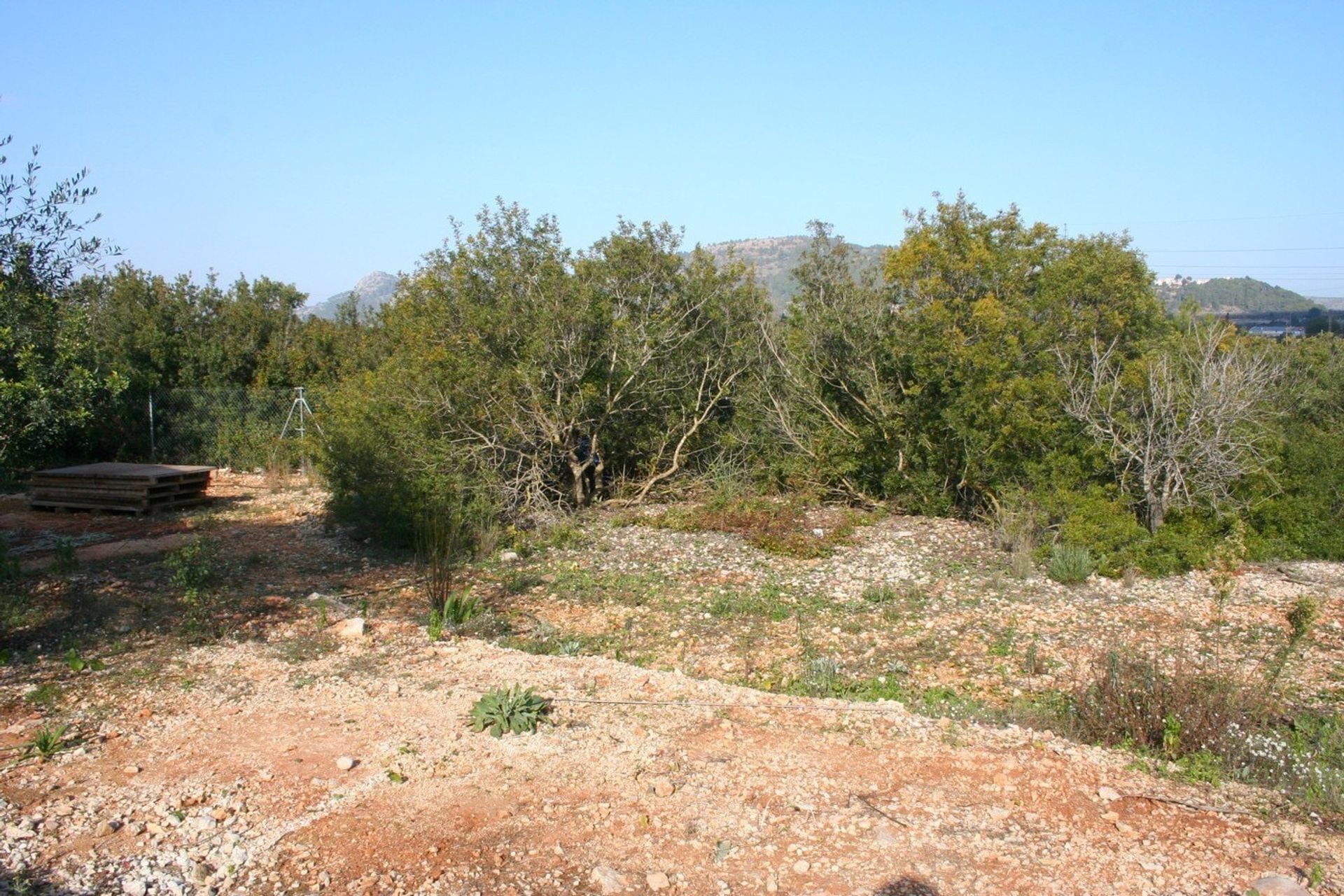 Land in Pedreguer, Comunidad Valenciana 11246548