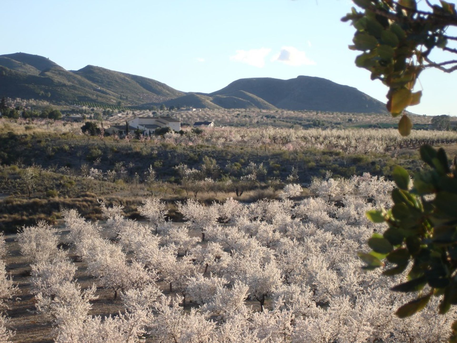 房子 在 Lorca, Región de Murcia 11246596