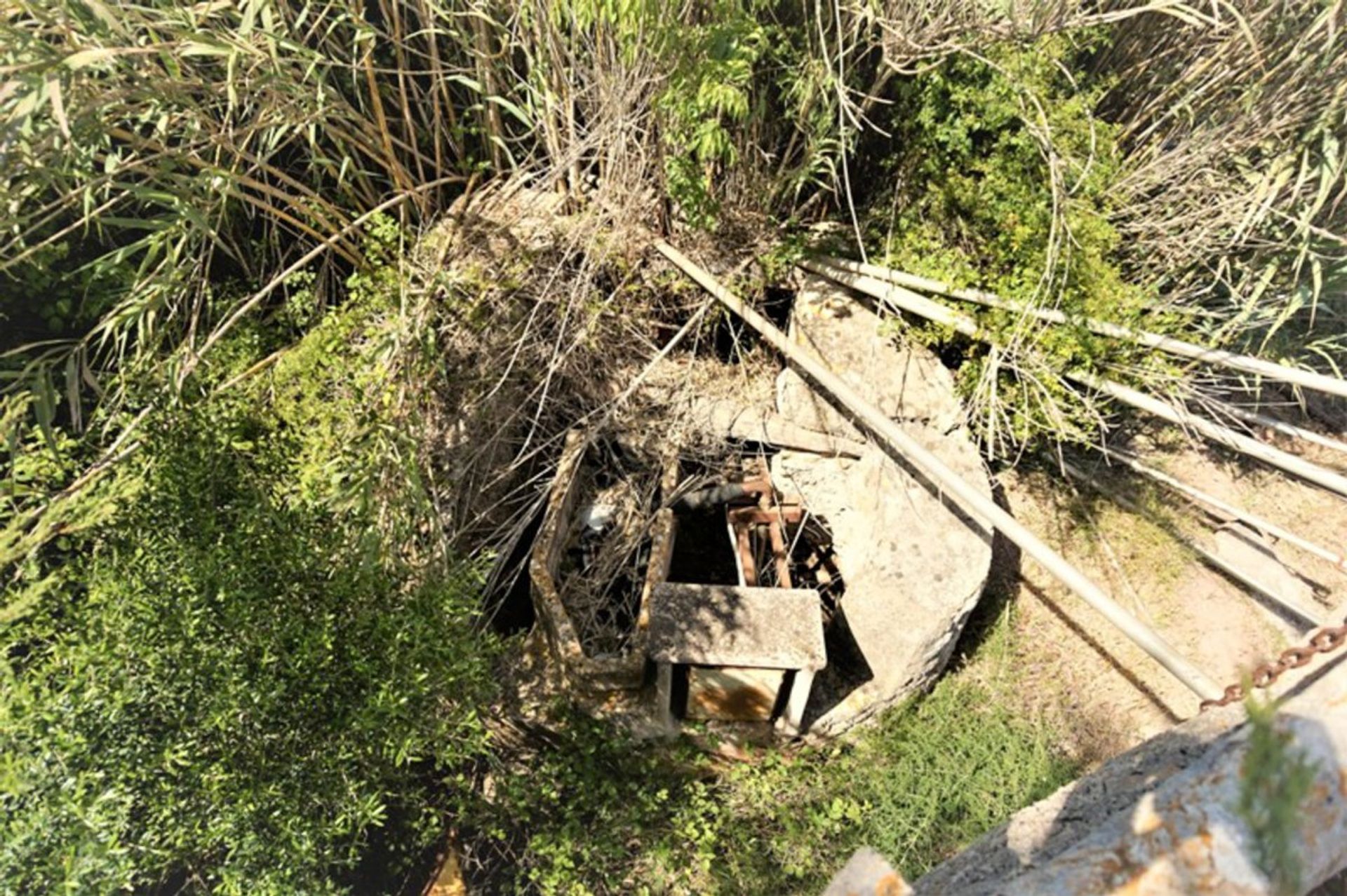 Land in Artà, Illes Balears 11246718