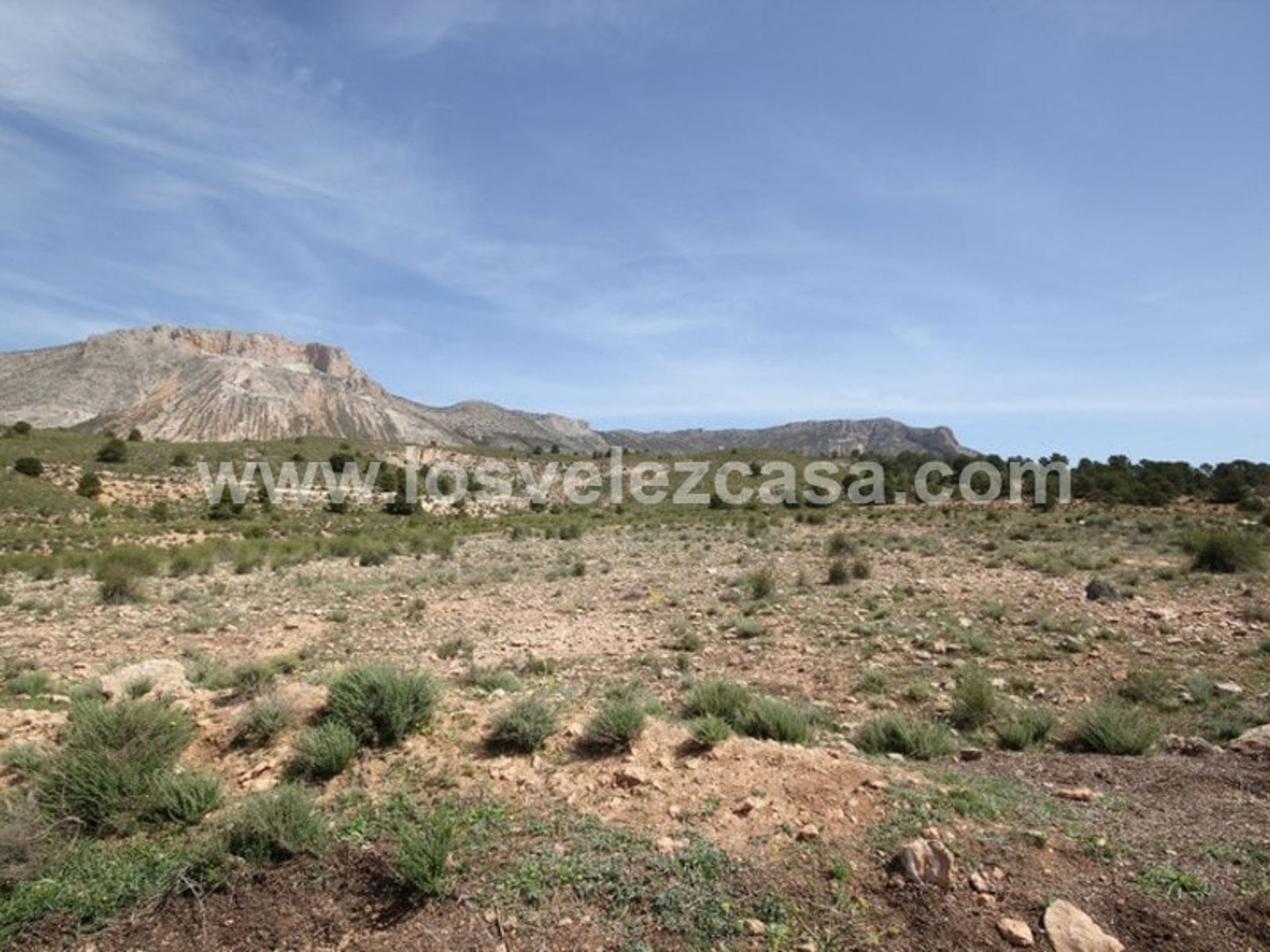 Land im Maria, Andalusien 11246994