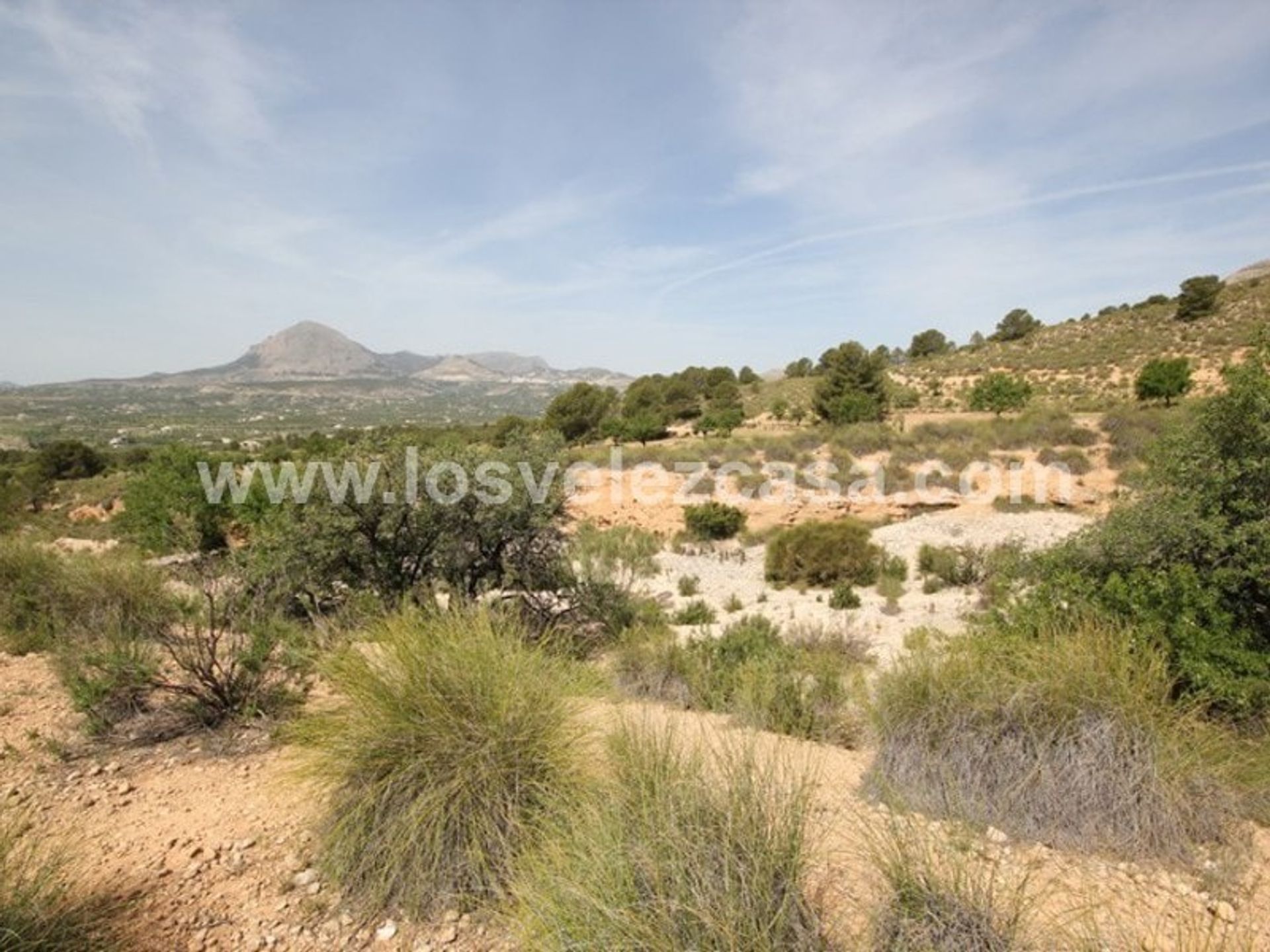 Land im María, Andalucía 11246994