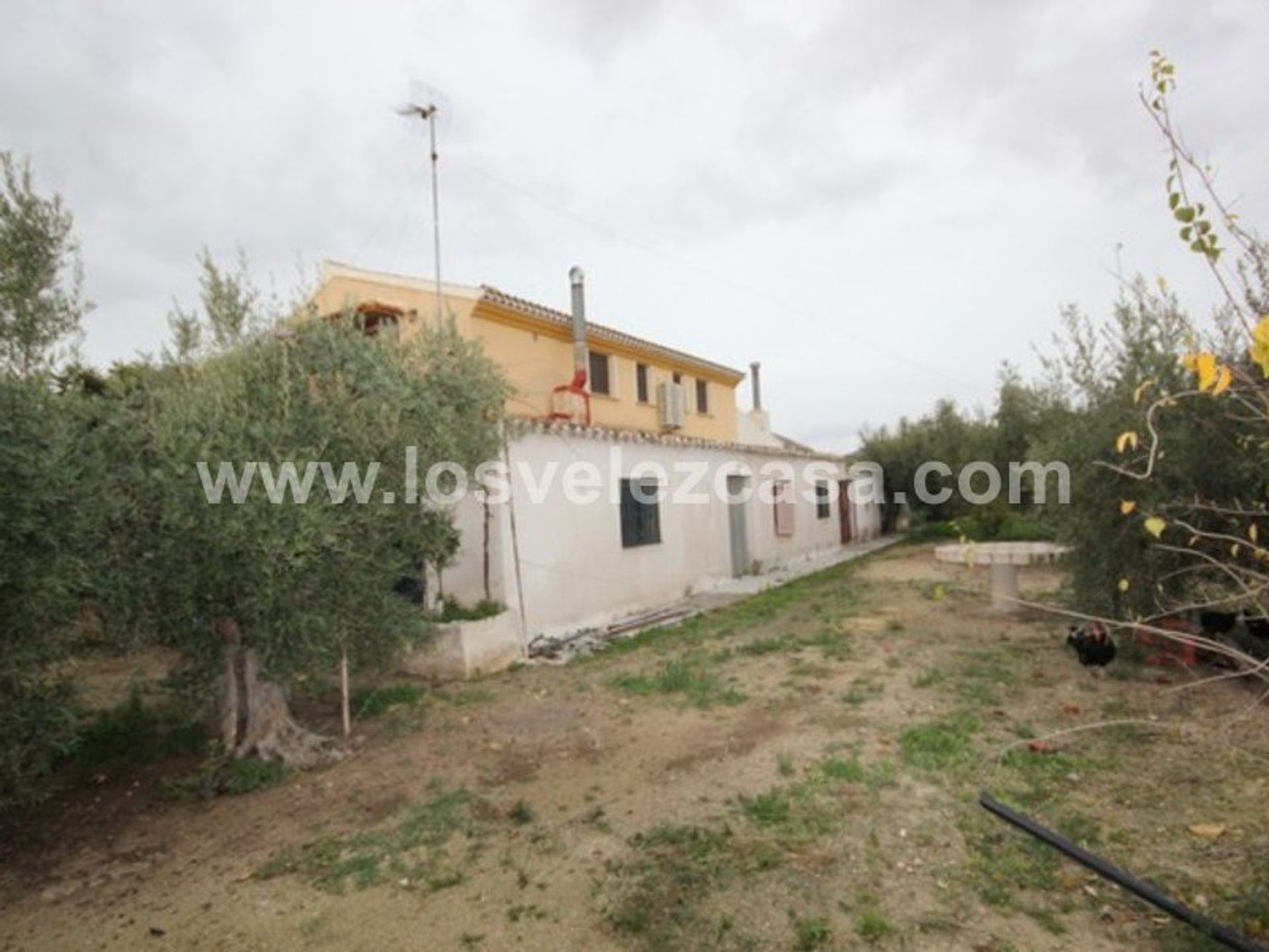 Casa nel Velez Blanco, Andalusia 11248639