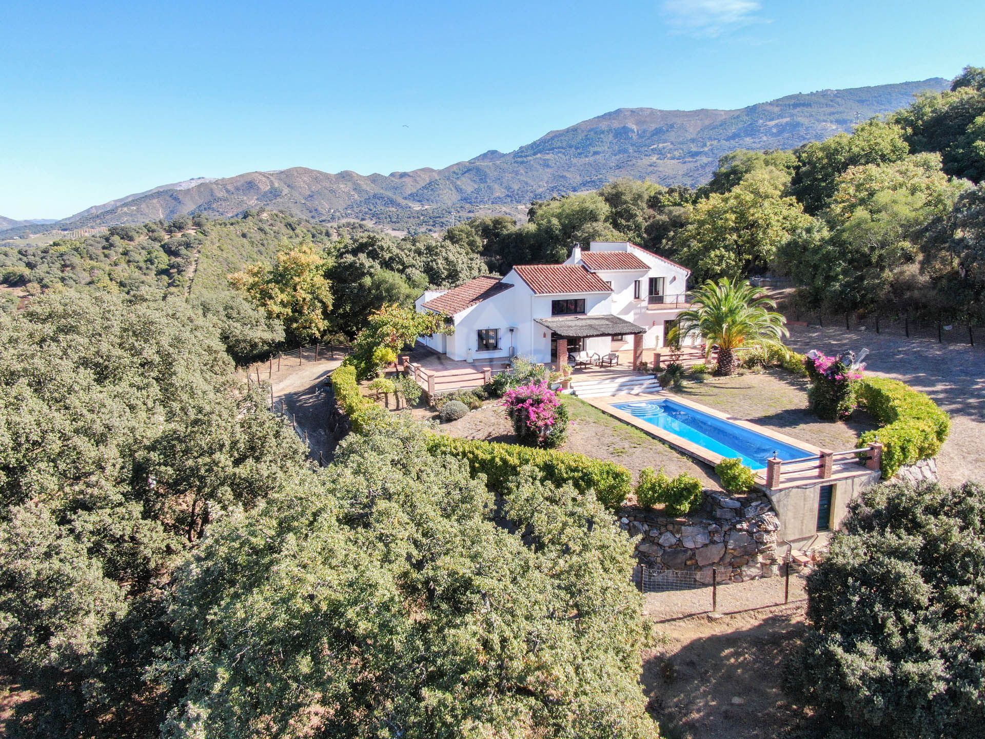 Haus im Cortes de la Frontera, Andalusien 11248744