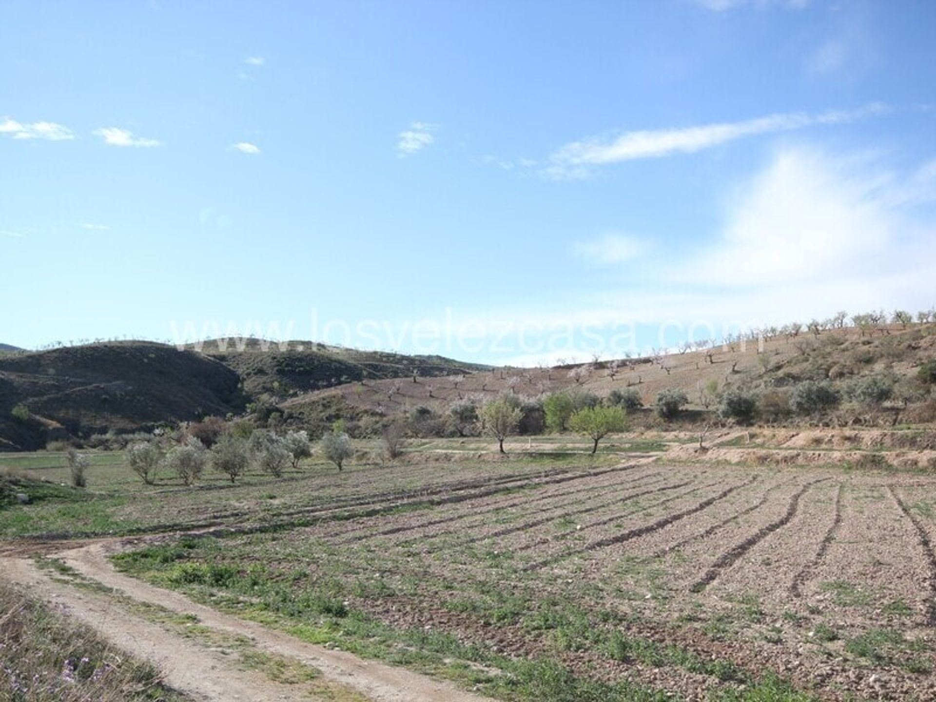 Terre dans , Región de Murcia 11249303