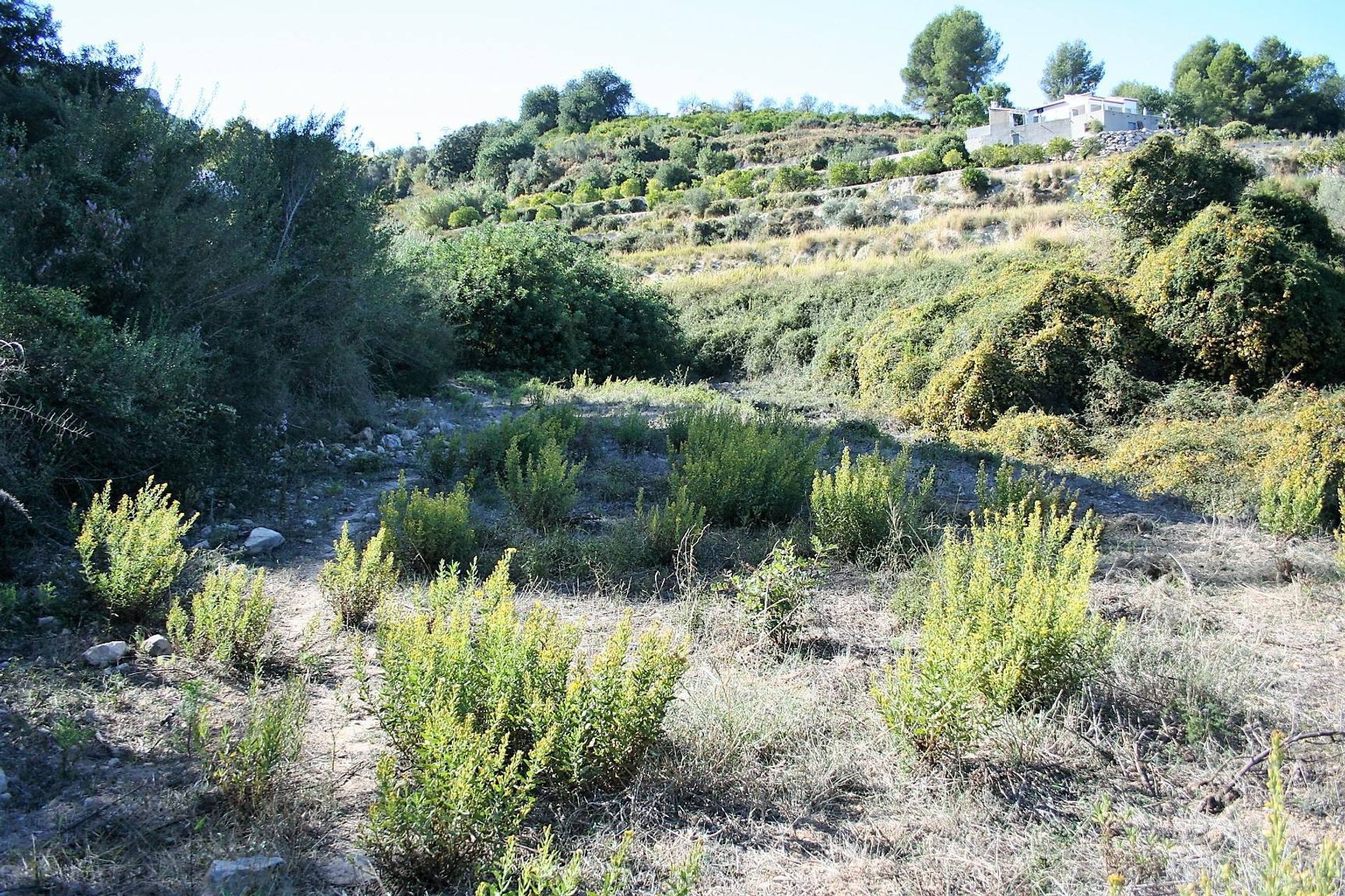 Jord i Ráfol de Almunia, Comunidad Valenciana 11250035