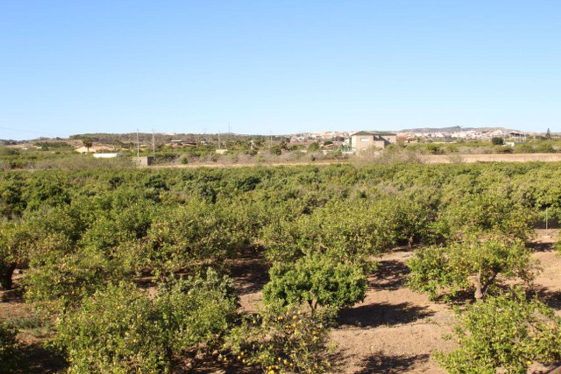 بيت في San Miguel de Salinas, Comunidad Valenciana 11251140