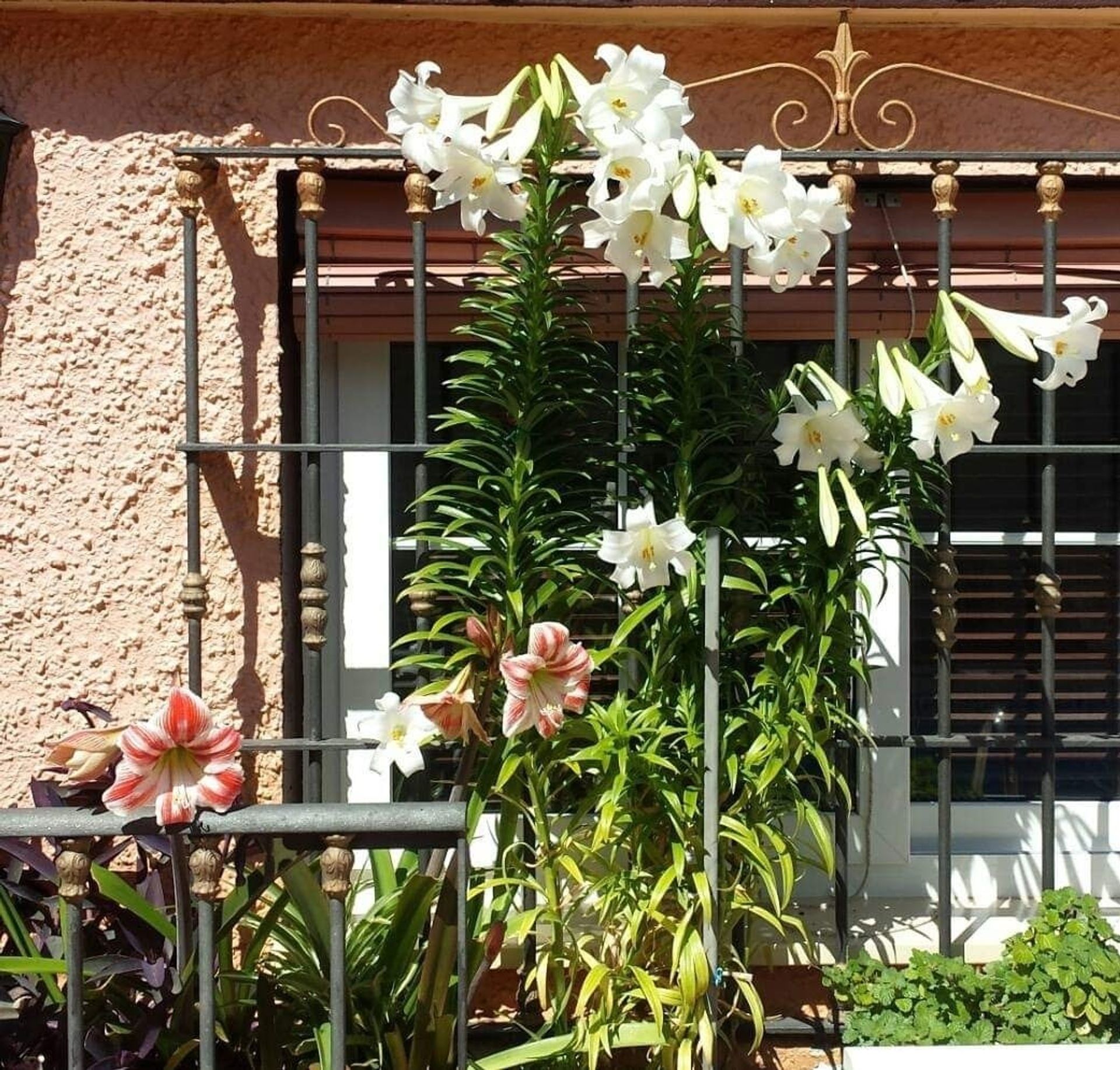 Casa nel Torremendo, Comunidad Valenciana 11251891