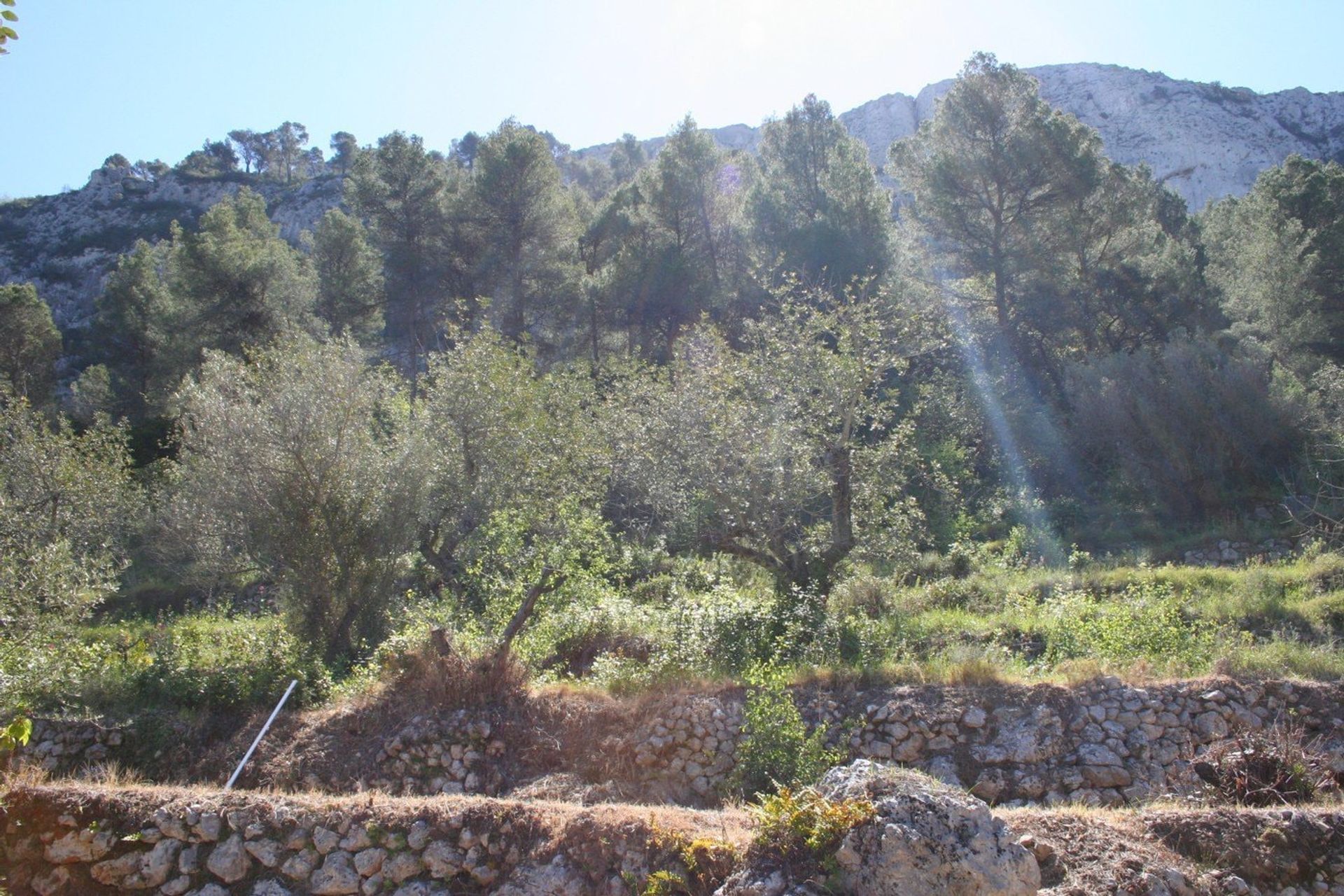 casa en Benirrama, Comunidad Valenciana 11254002