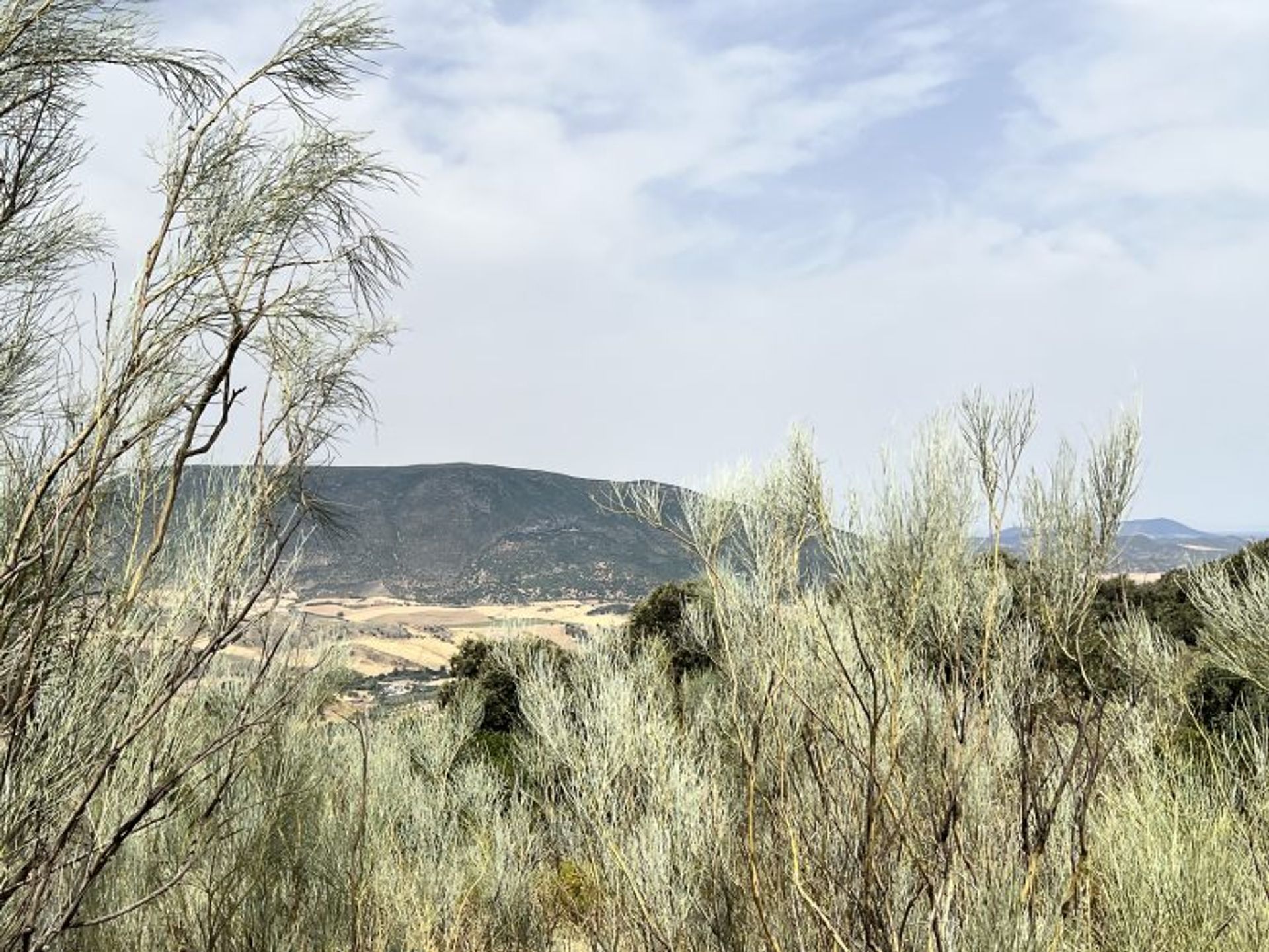 rumah dalam El Gastor, Andalucía 11254007